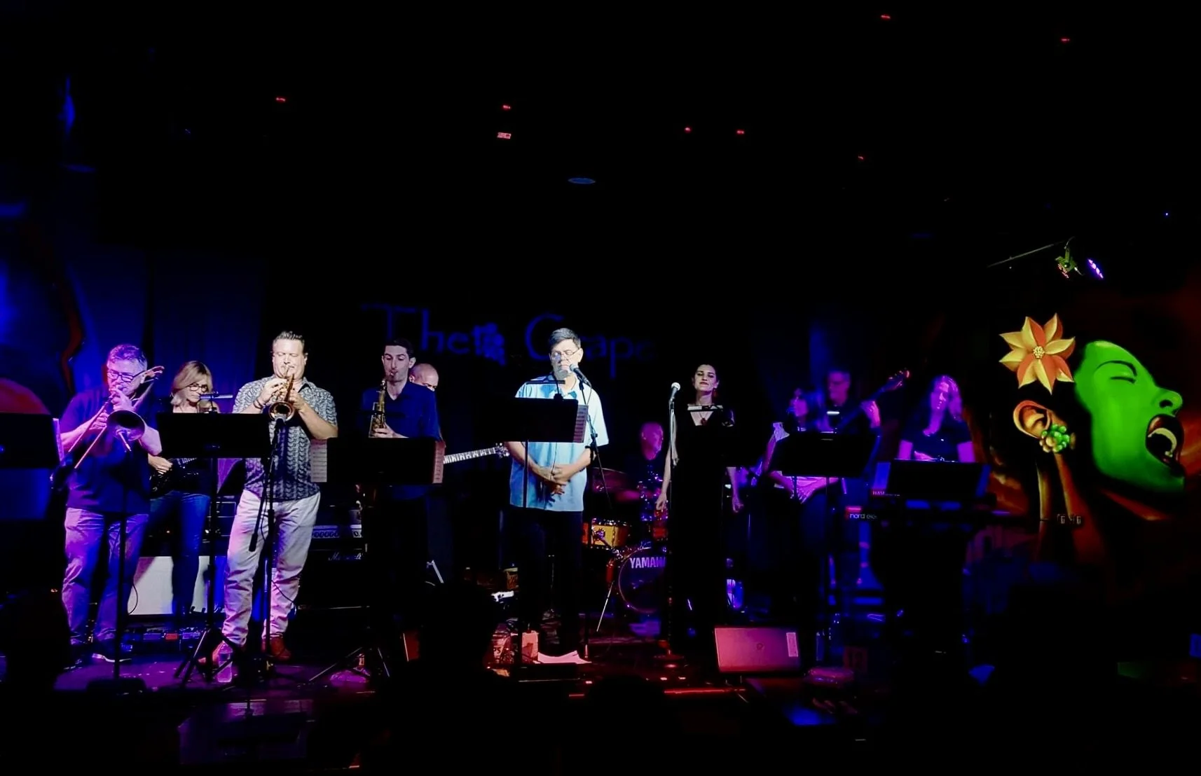 Kalen performing live with Sonic Rooster.