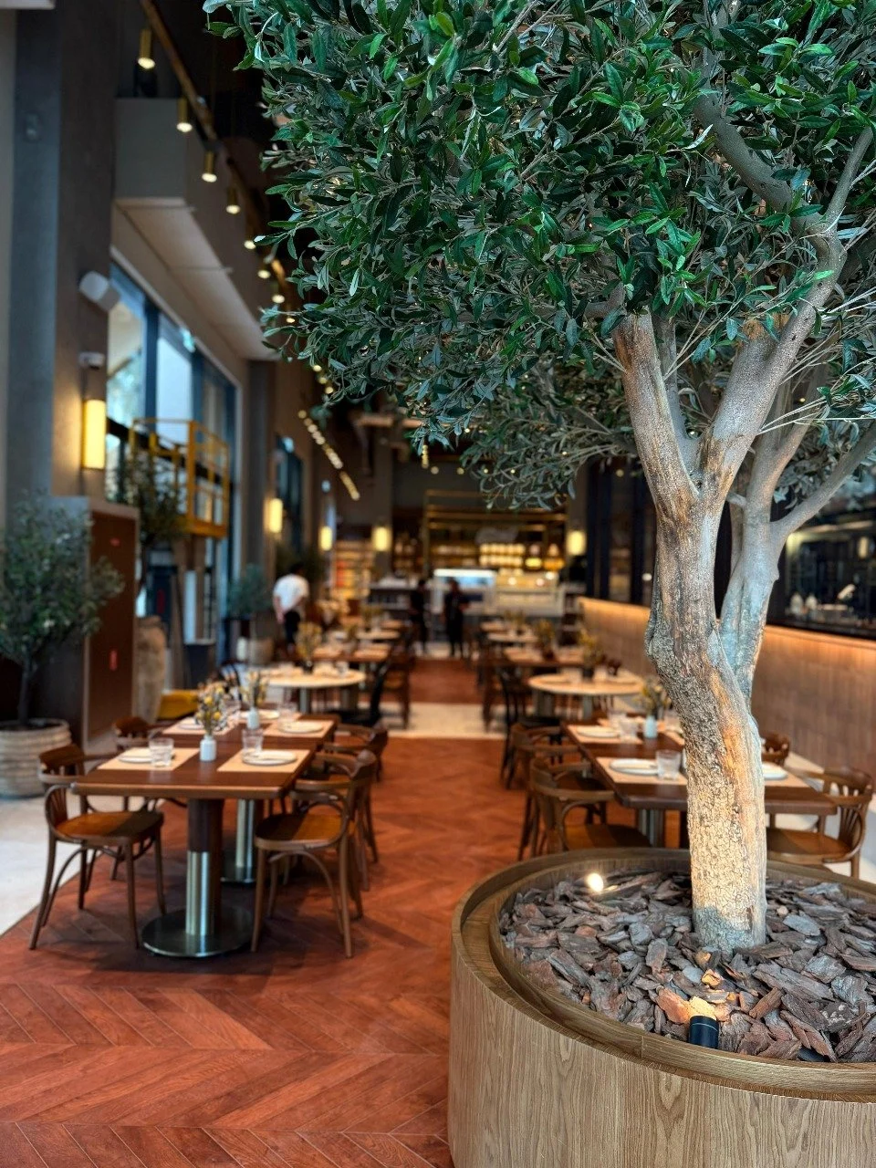 WhatsApp Image 2025-12-11 at 3.18.36 PM.jpeg