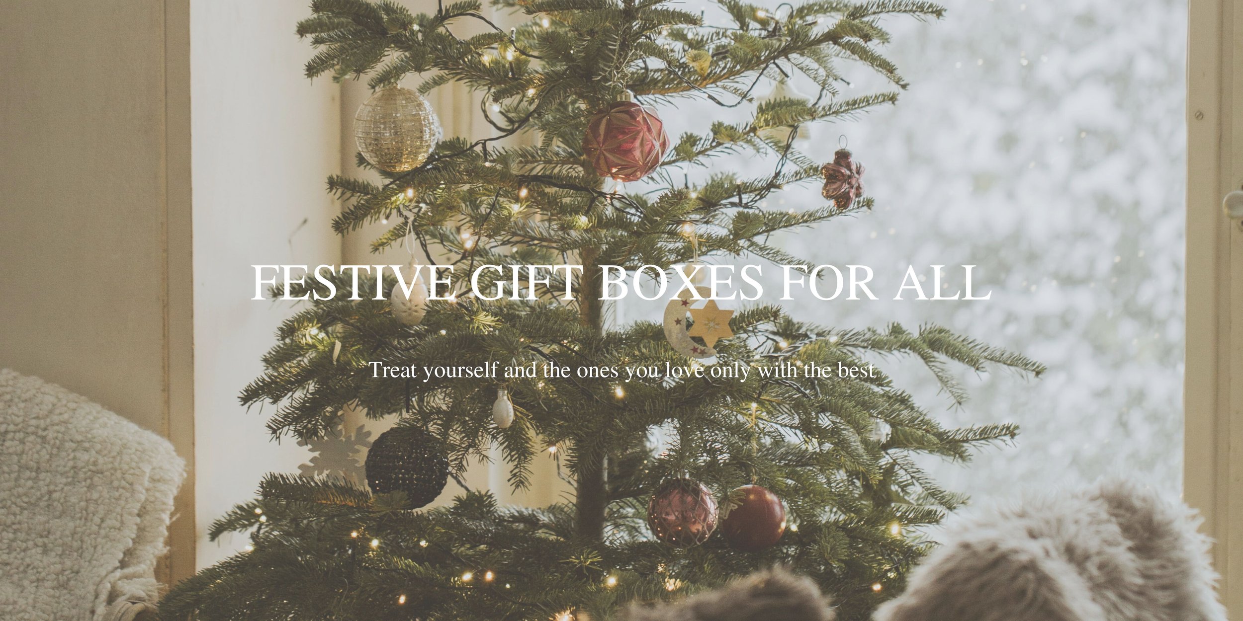 ergon stores banner.jpg