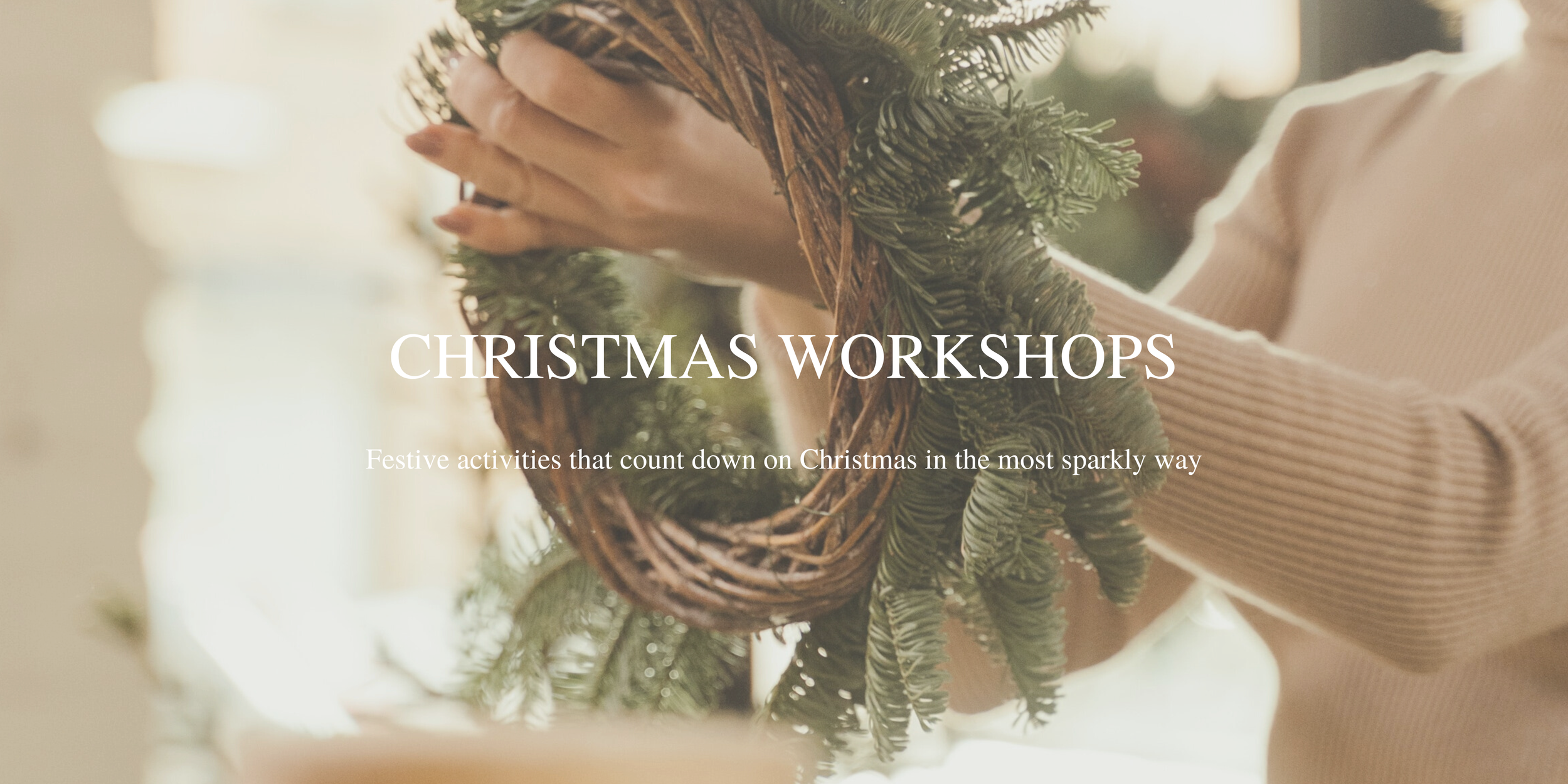 ergon stores banner (5).png