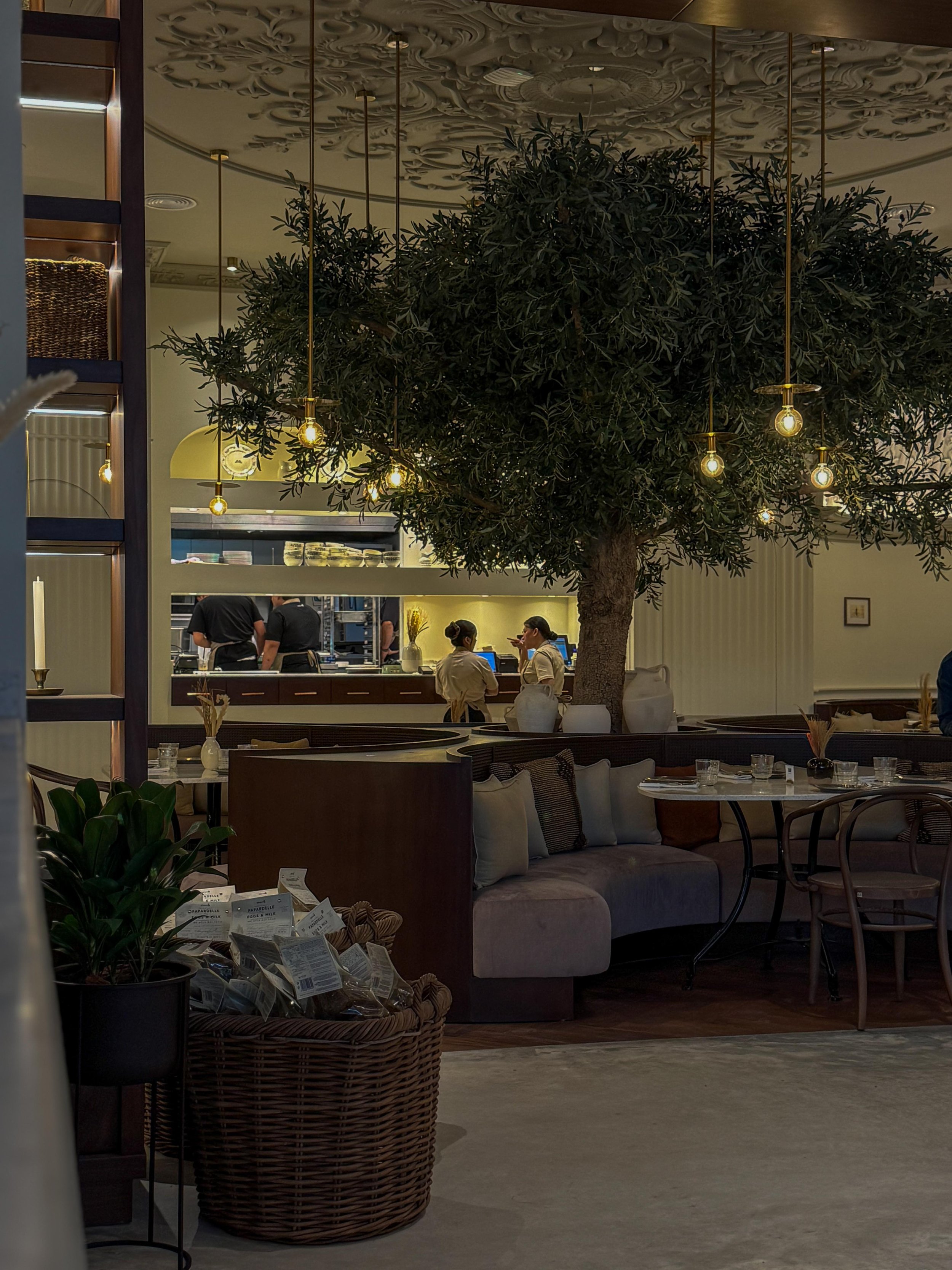 WhatsApp Image 2026-01-23 at 12.22.21 PM.jpeg