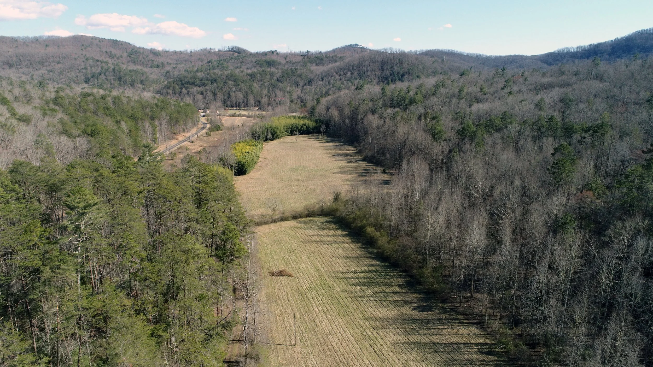 Aerial view of Horse Gap Forest in Pickens Co.