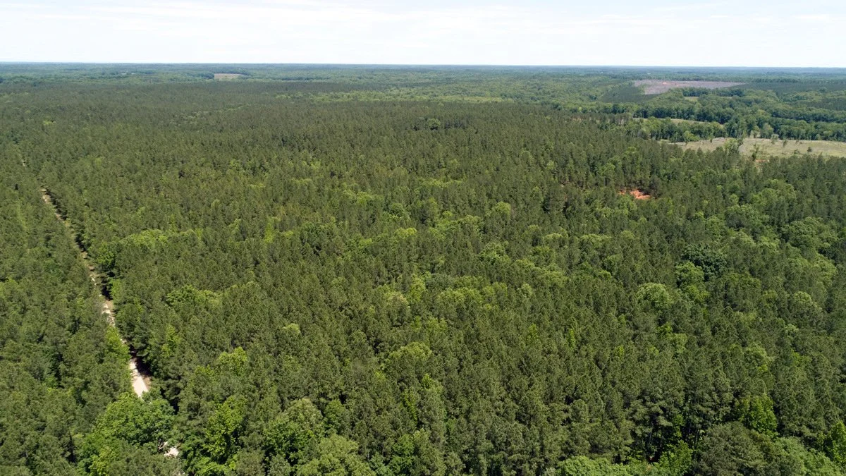 Aerial view of the Morrow Creek Timbers protected property