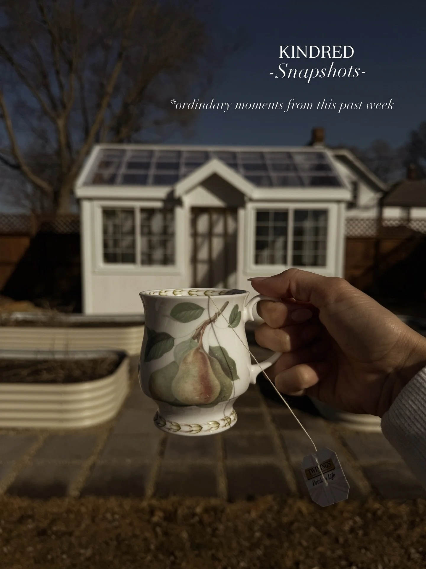 A week full of so much and yet not a lot all at the same time. Chasing the everyday, ordinary moments has become something I look forward to. 

Praying this week we get a break from sickness 🙏🏽

How are you fairing out there friends?! How can I be 