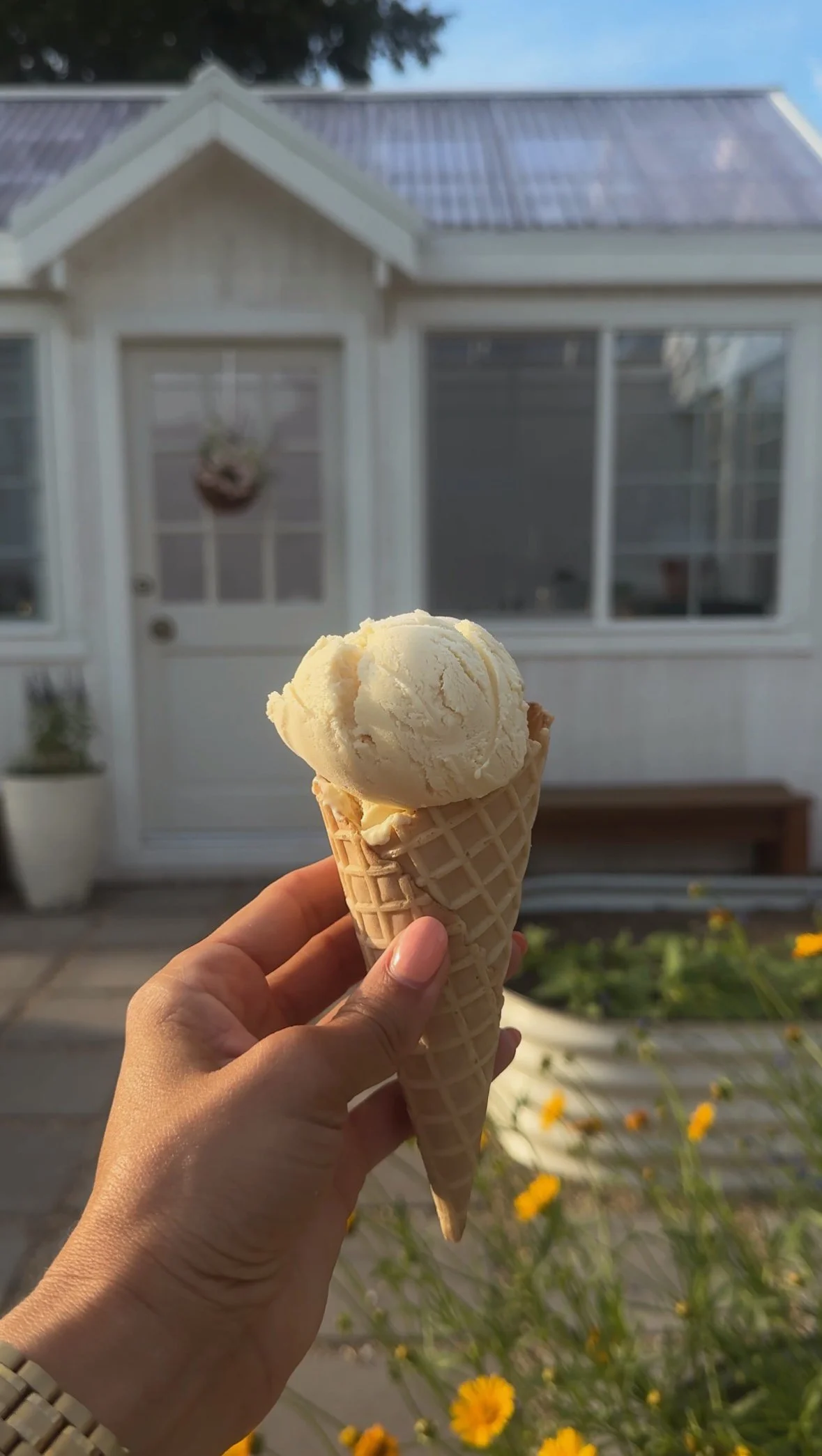 Homemade Lemon Honey Ice Cream (Naturally Sweetened)