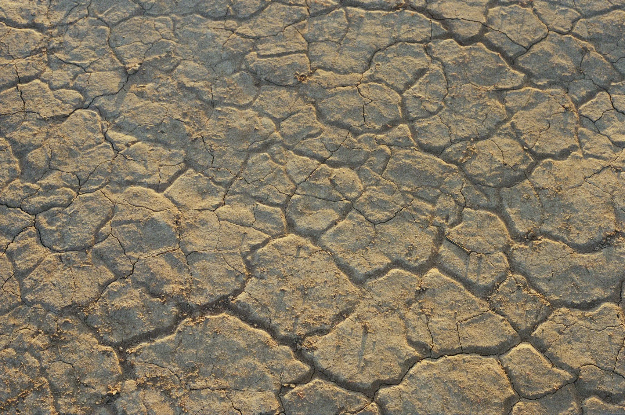 a detail photograph of a dried up lake bed that is cracking in the early morning sun.  Photographed during a fashion campaign photographed by Indie Studios in the Mojave Desert.  Indie Studios is one of the best fashion photography teams.