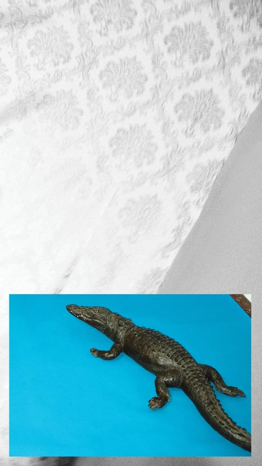 grunge still-life of paper mache set design prop alligator with wall paper background in the studio of artist and director couple Andrew white and Sam bates of Indie Studios, a creative production company based out of New York City.