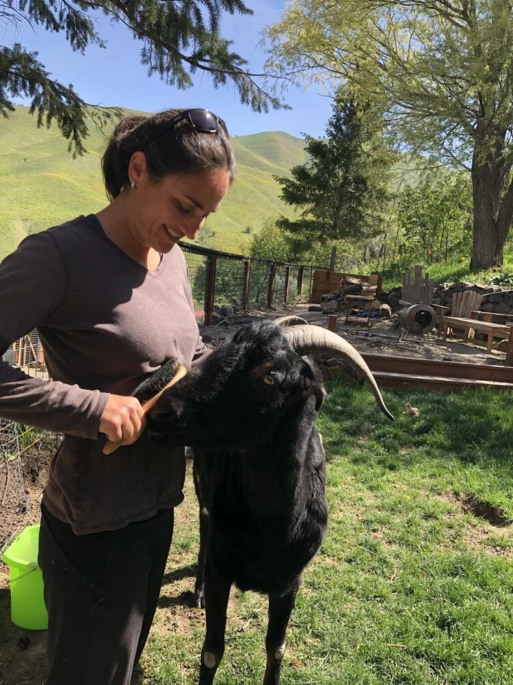 Help Chino Build Ridge 2 River Animal Haven</a>