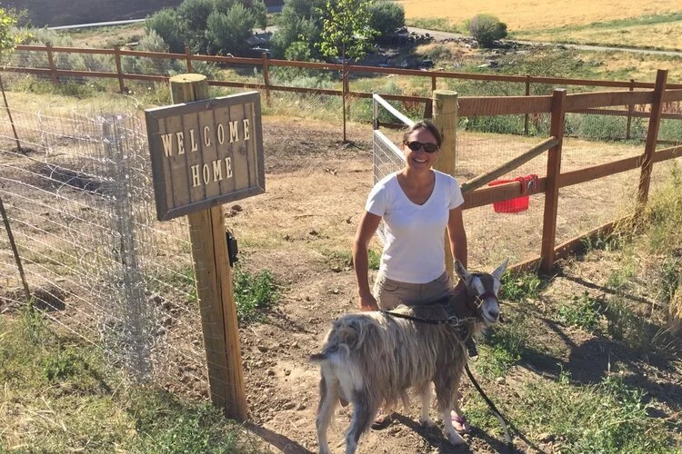 Long awaited and much needed update