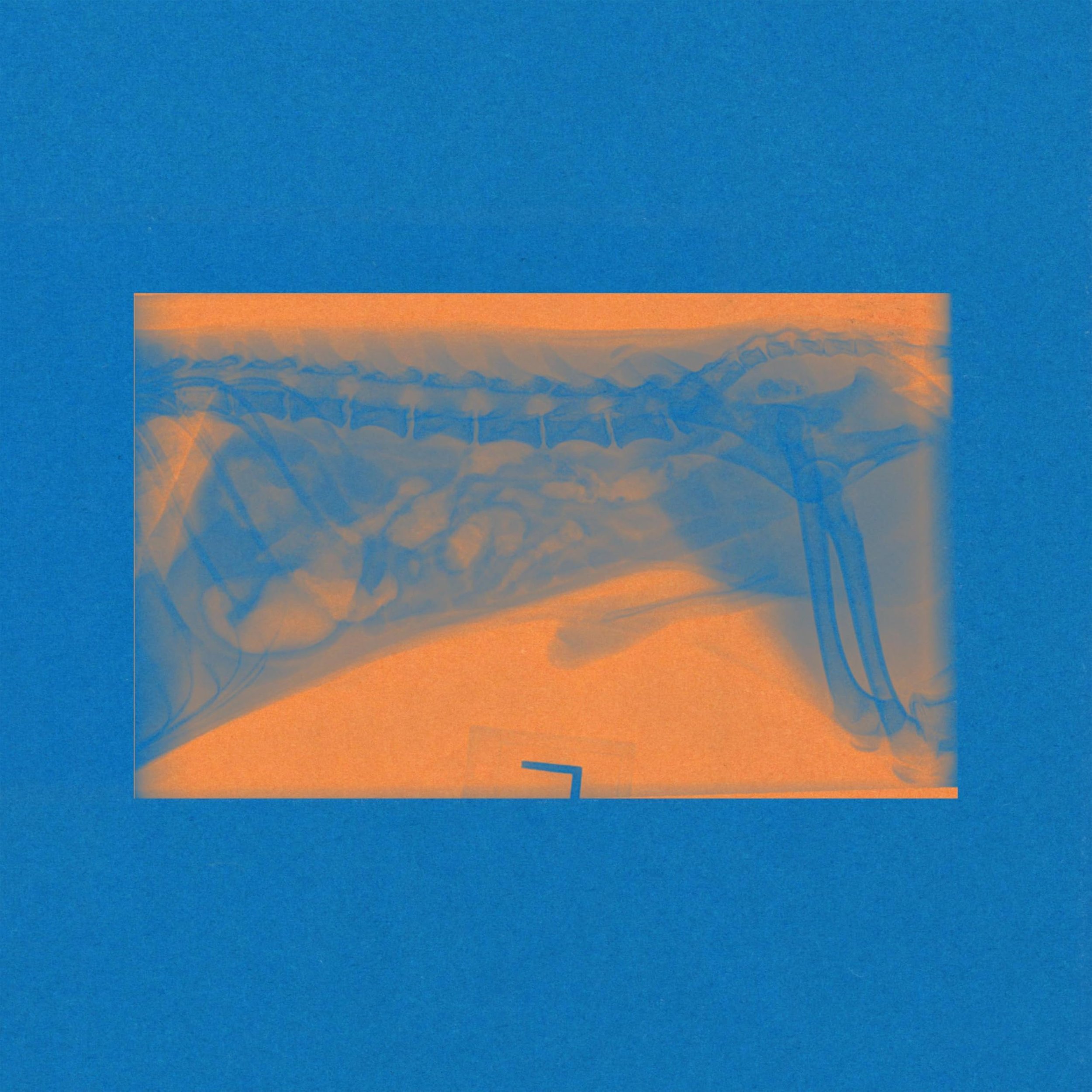 Cerberus - Vicinal Bodies