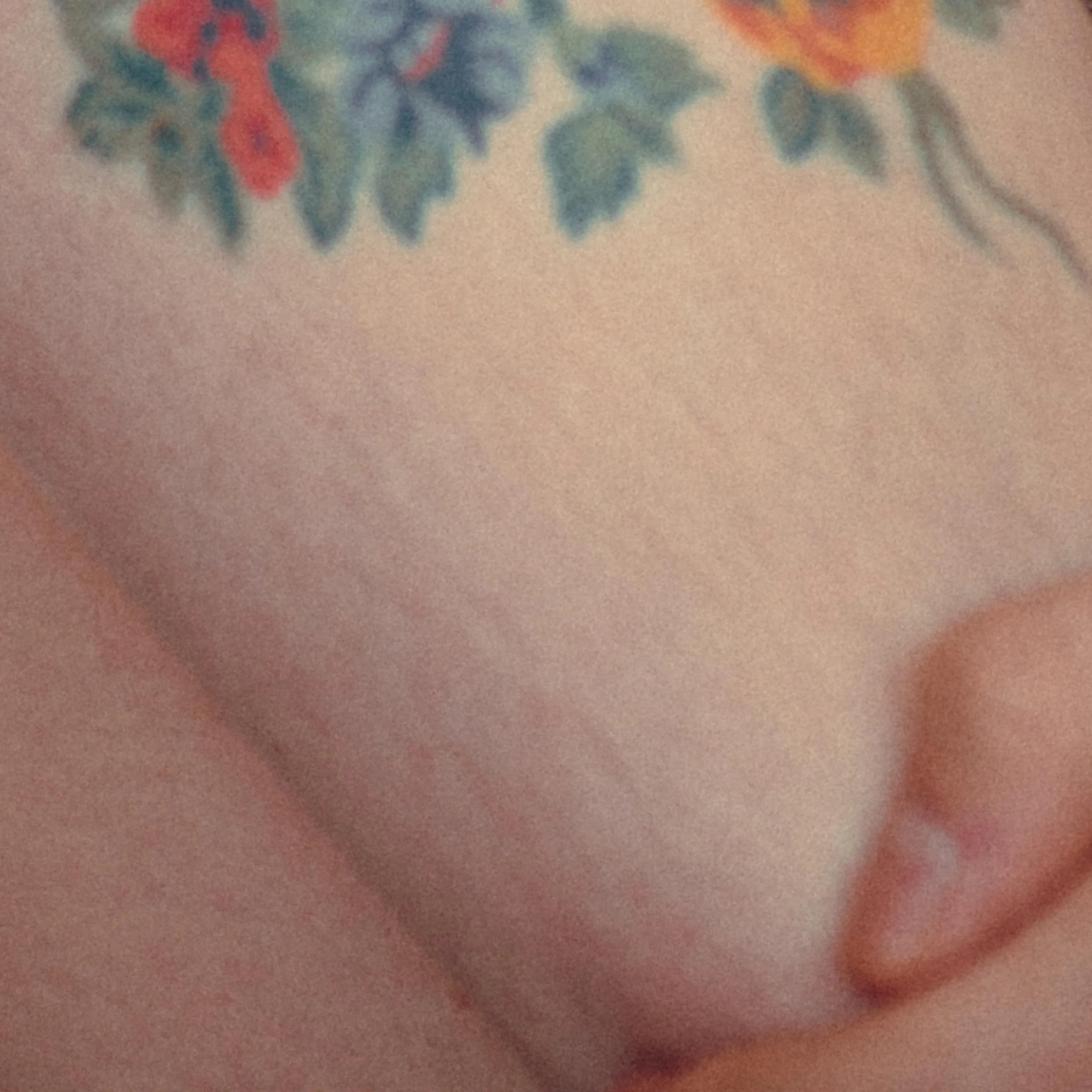 hand drawn flowers - Justin Meyer