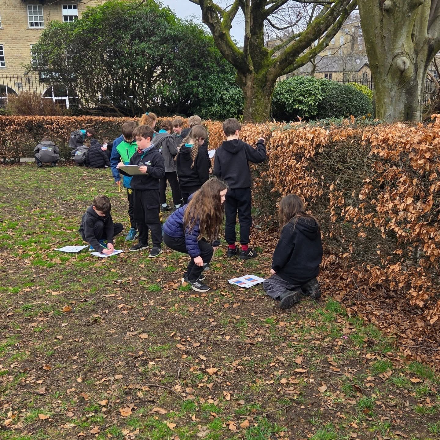 Year 5 and 6 have been celebrating British Science Week. This year's theme - Curiosity - What's your question?

Our question was, 'What invertebrates live in our local area?' We used field work and investigation to help us find out. 🐛🐞🕷🐜