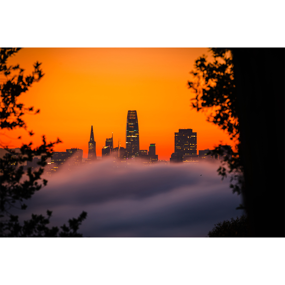 March Morning March.png