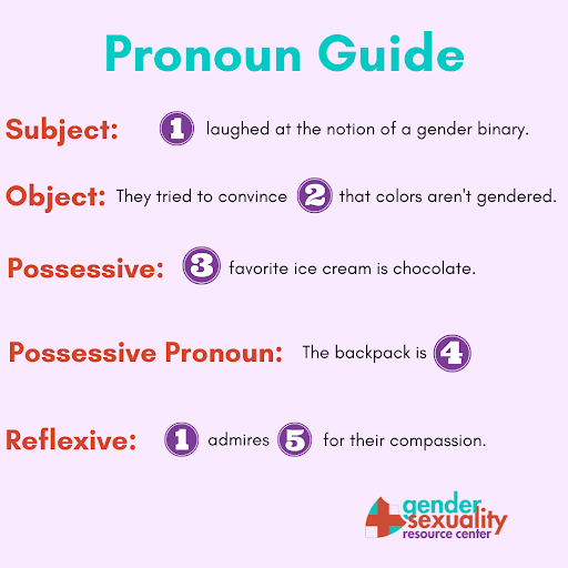 Understanding Pronoun Use And Inclusion — Princeton Gender Sexuality 