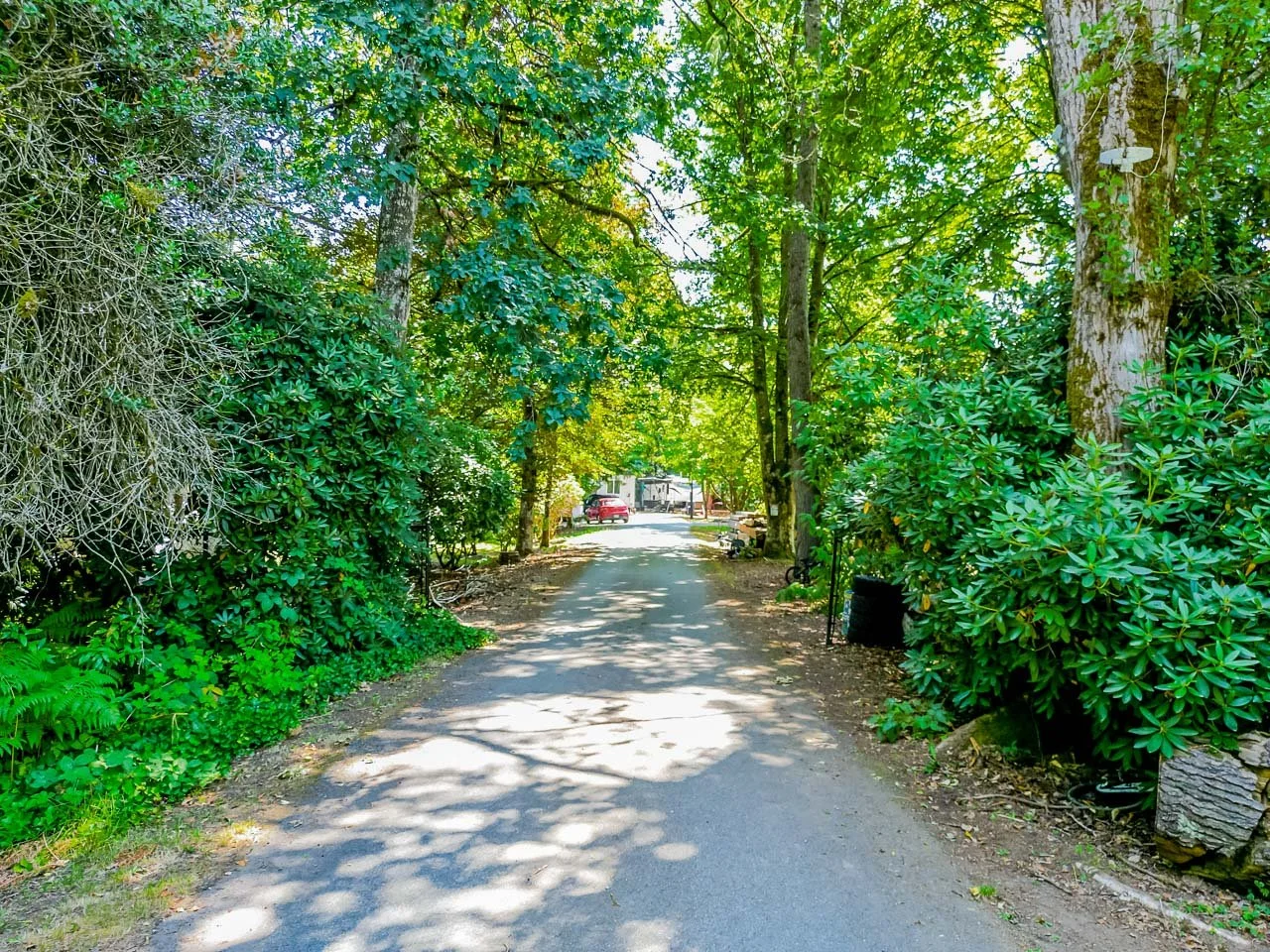 24628 River Road Maple Ridge-3.jpg