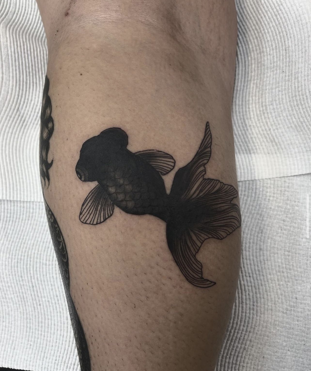 Black Goldfish Tattoo