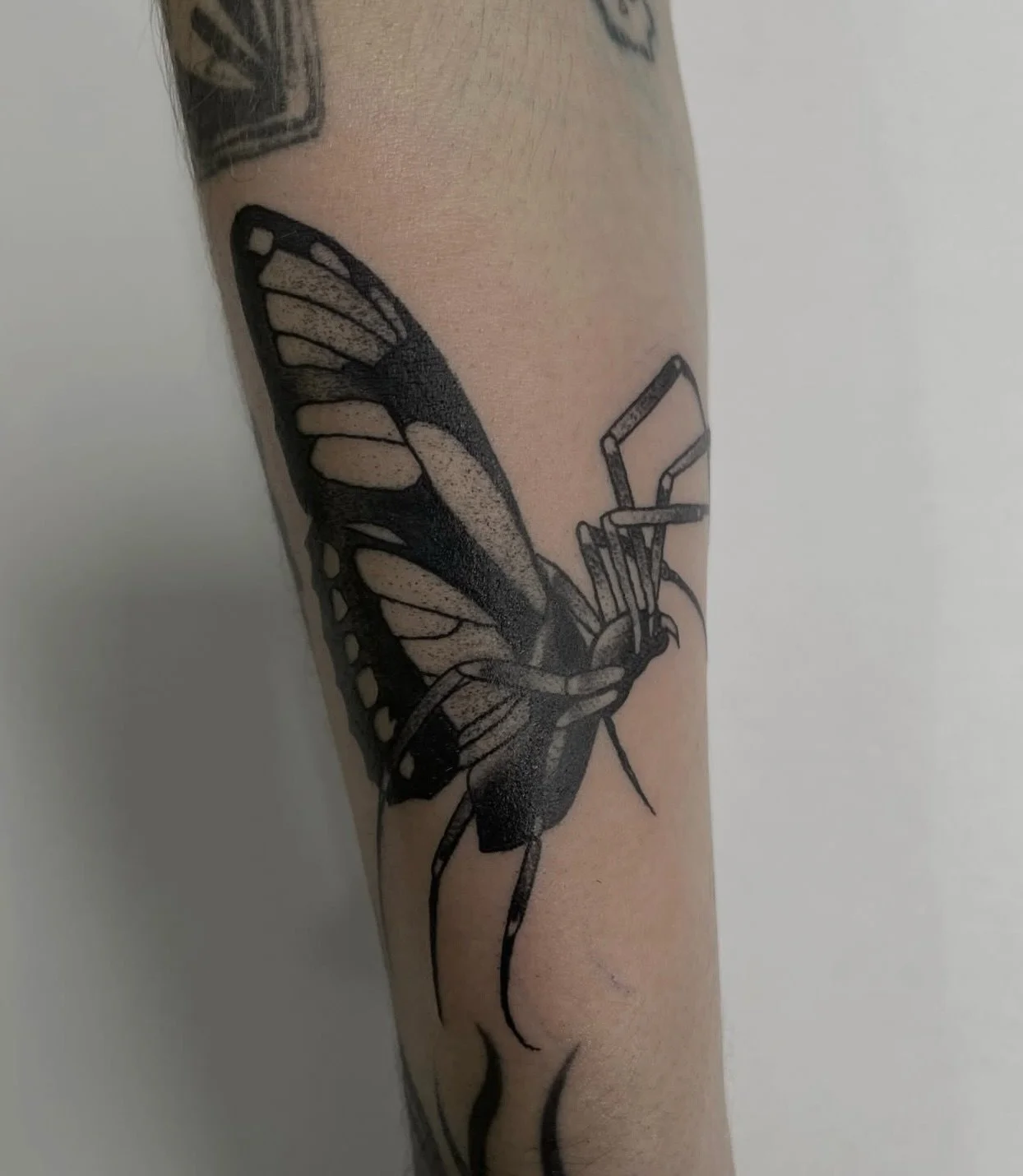 Recent flash and custom work by @jamesdeantattooer

Head to James&rsquo;s website and fill out an inquiry form to book, or get in touch with us:

info@sunsettattoo.co.nz
www.sunsettattoo.co.nz

#sunsettattoonz #aucklandtattoo #blackworktattoo #flasht