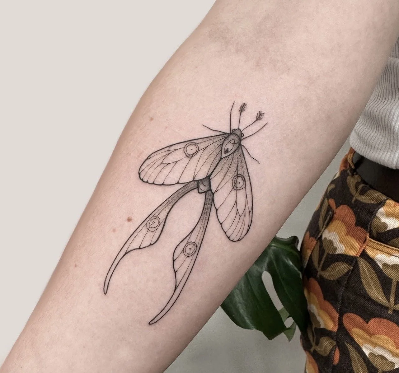 fine-line-moth-tattoo-auckland.jpg