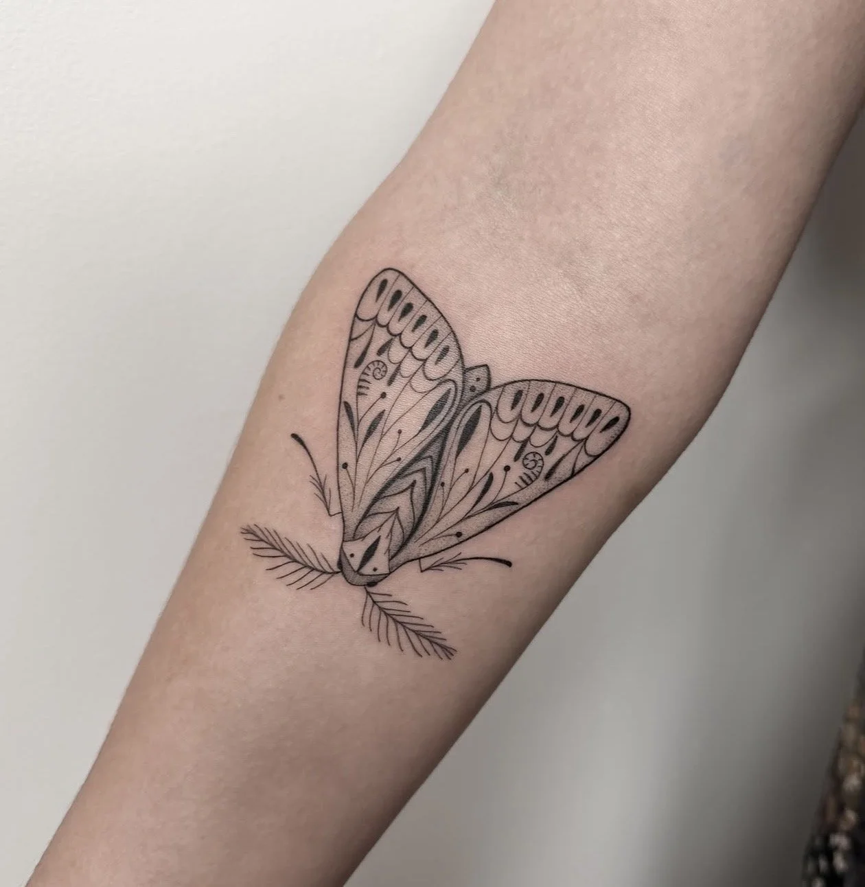 fine-line-moth-tattoo-sunset-auckland.jpg
