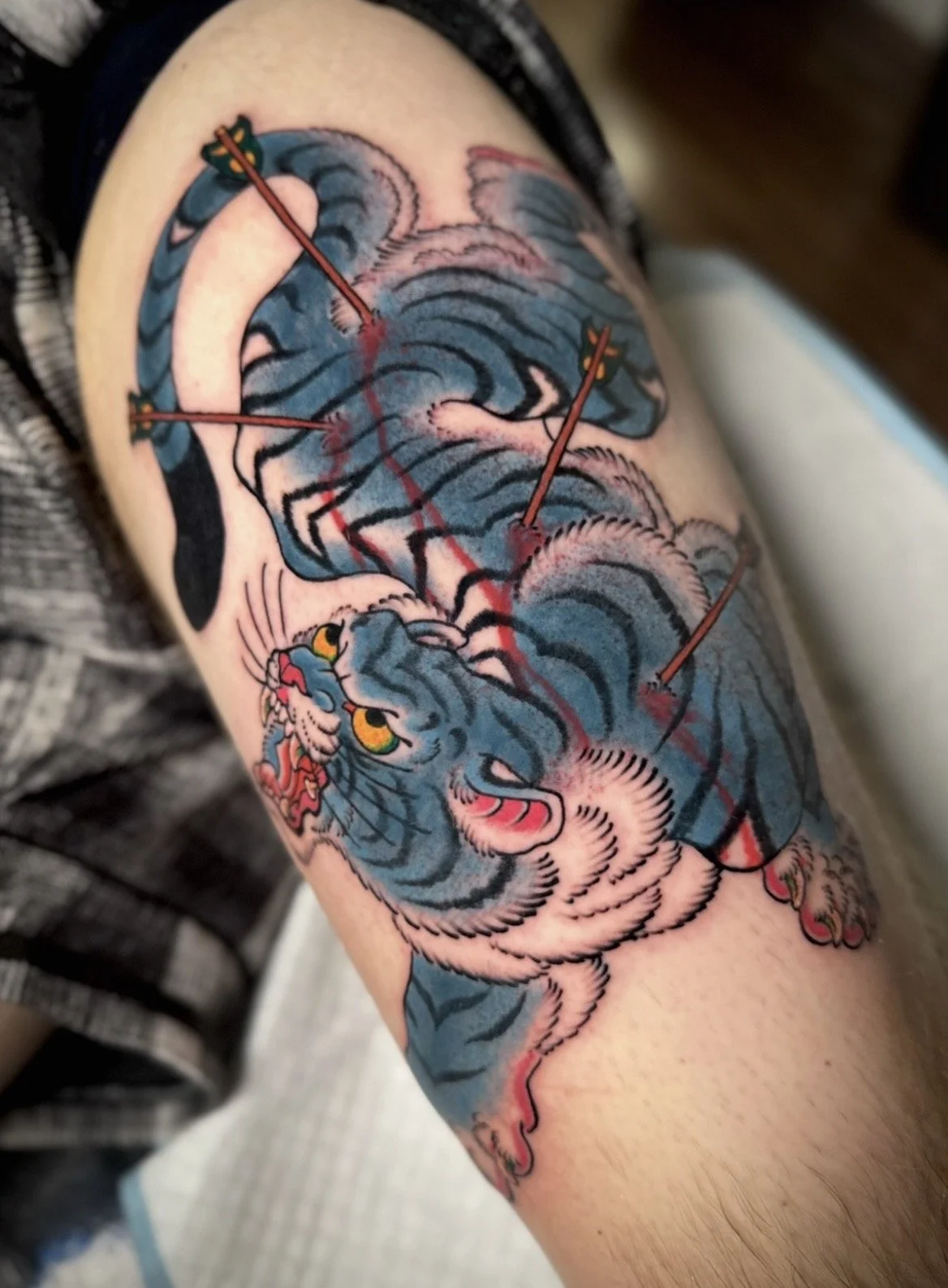 tiger-tattoo-sunset-auckland-3.jpg