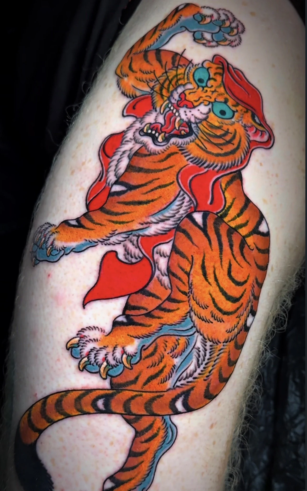 tiger-tattoo-sunset-auckland-5.jpg