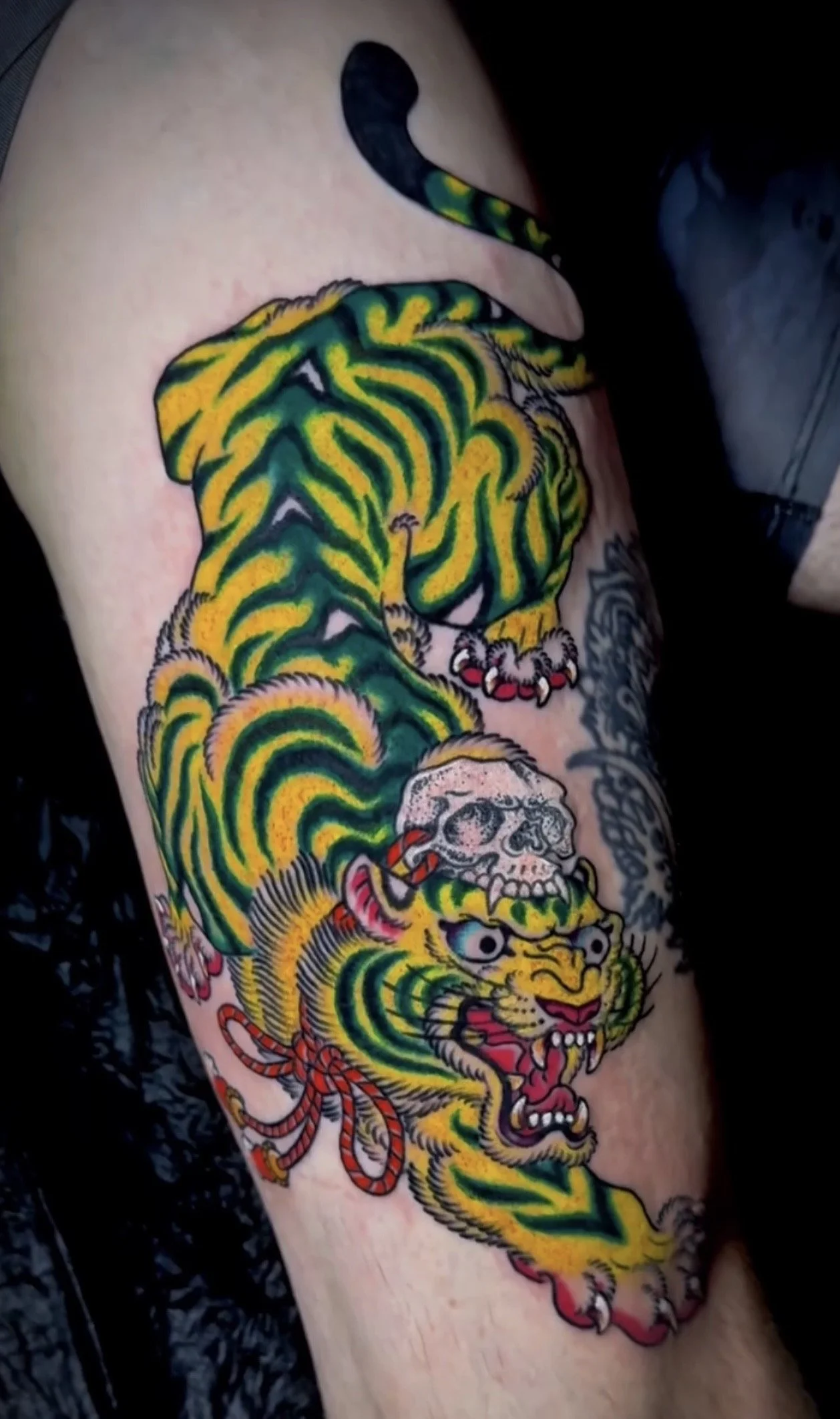 tiger-tattoo-sunset-auckland-6.jpg