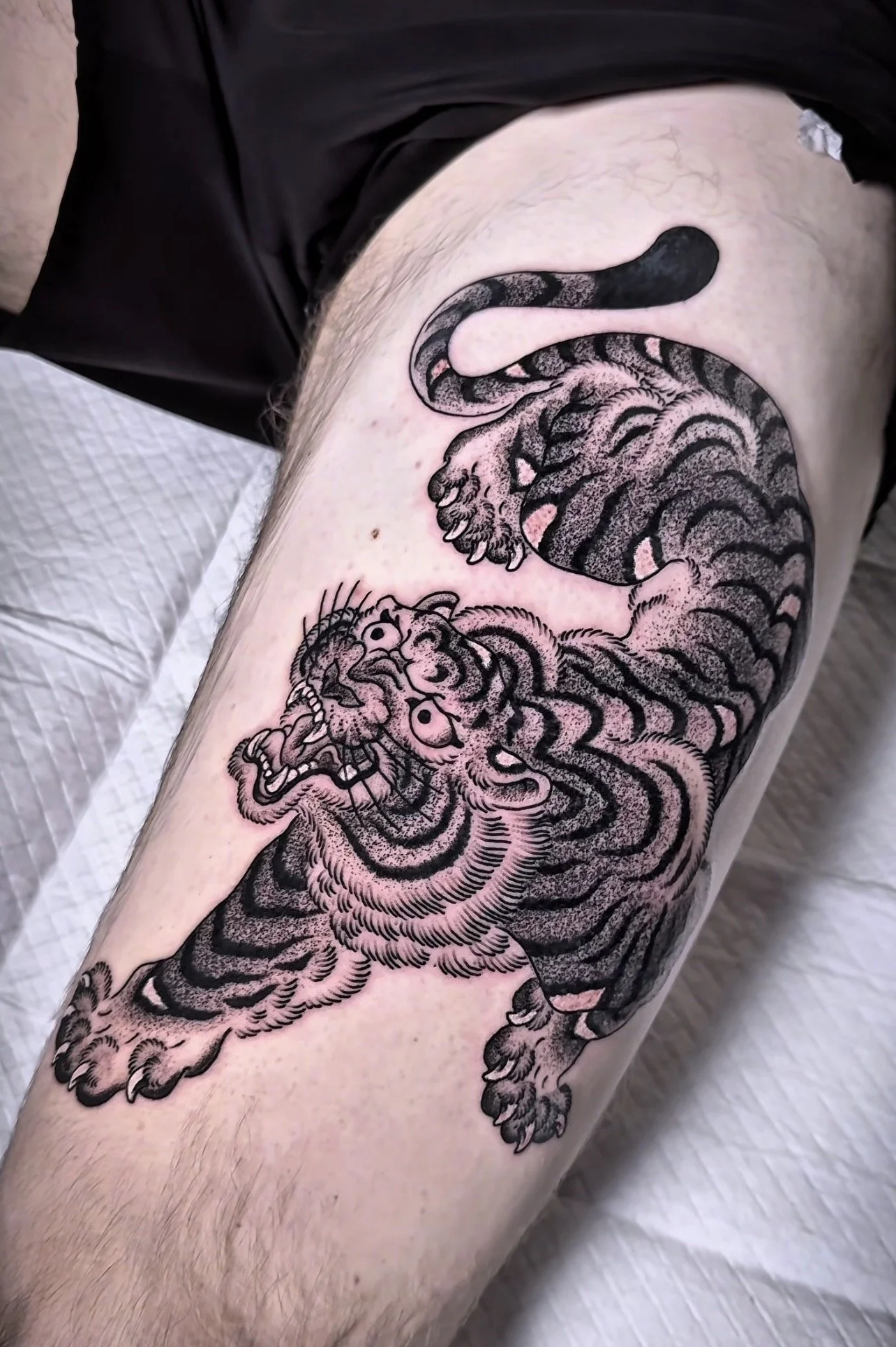 tiger-tattoo-sunset-auckland-7.jpg