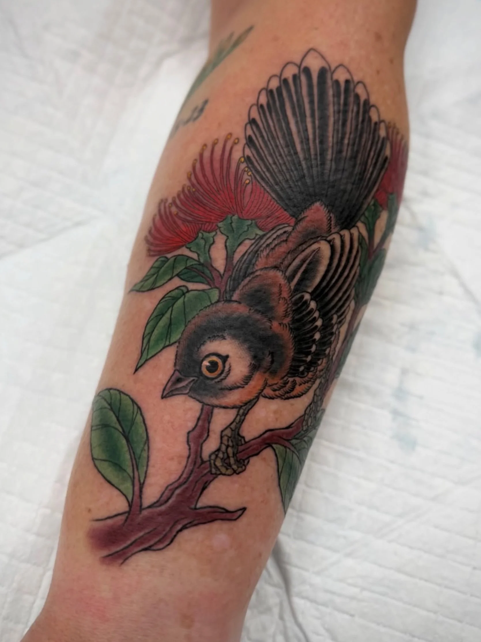 Piwakawaka and pohutukawa by @gordy_evelyn_tattooer 

Gordy loves doing custom work like this! Get in touch to book:

info@sunsettattoo.co.nz
www.sunsettattoo.co.nz

#sunsettattoonz #aucklandtattoo #traditionaltattoo #fantailtattoo #piwakawakatattoo