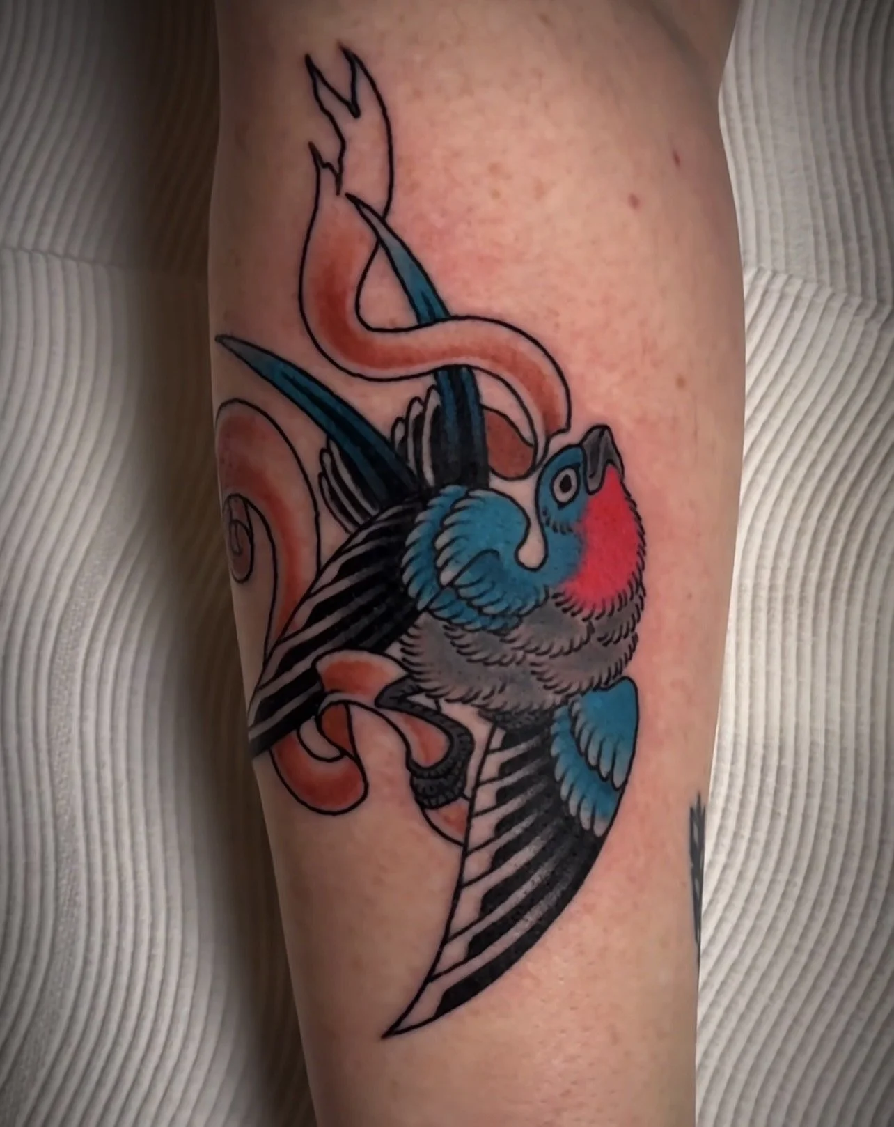 American Traditional Swallow Tattoo