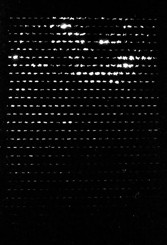 Film#192_Mio_041722-15.jpg