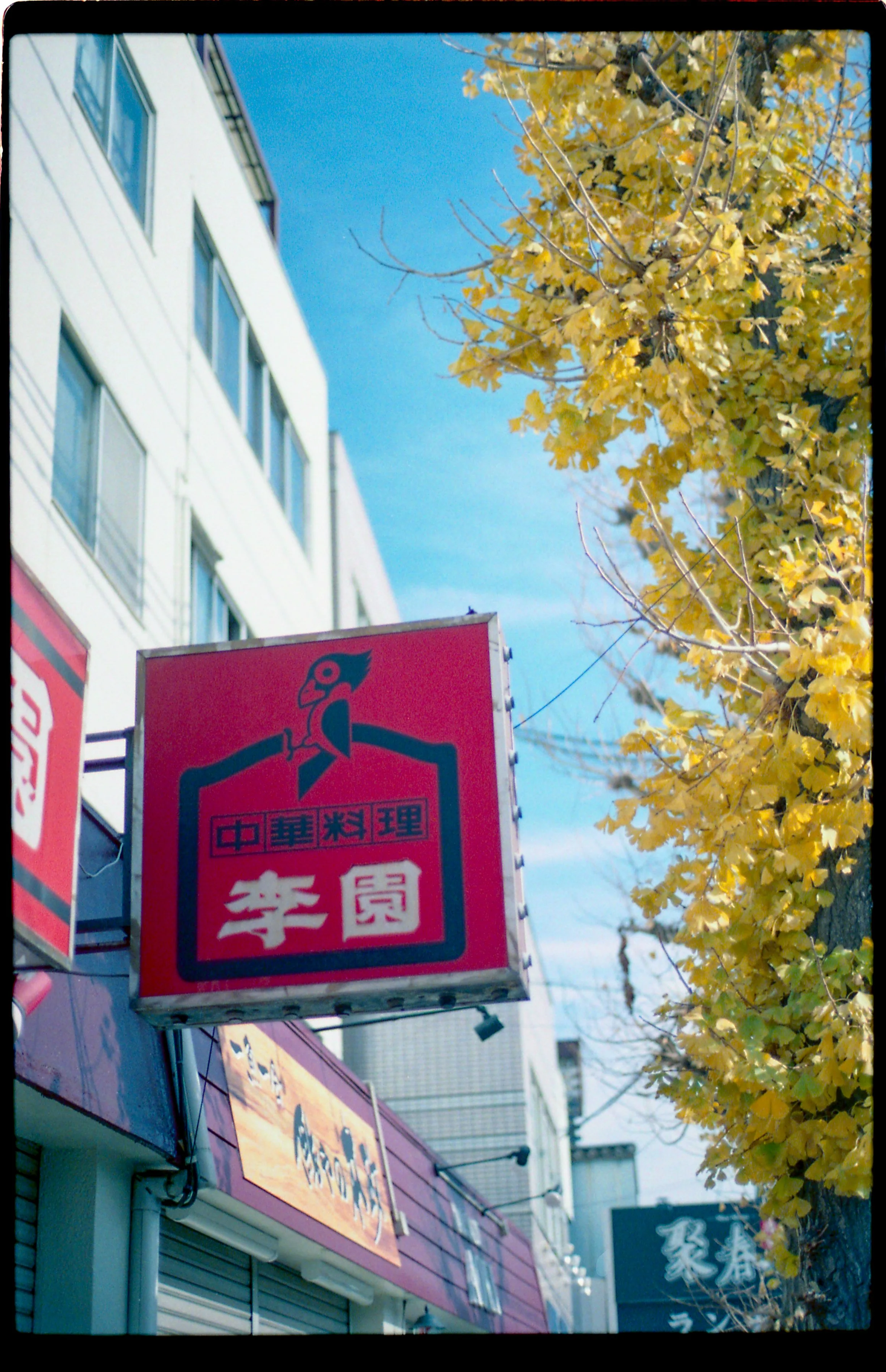 李園00001.jpg