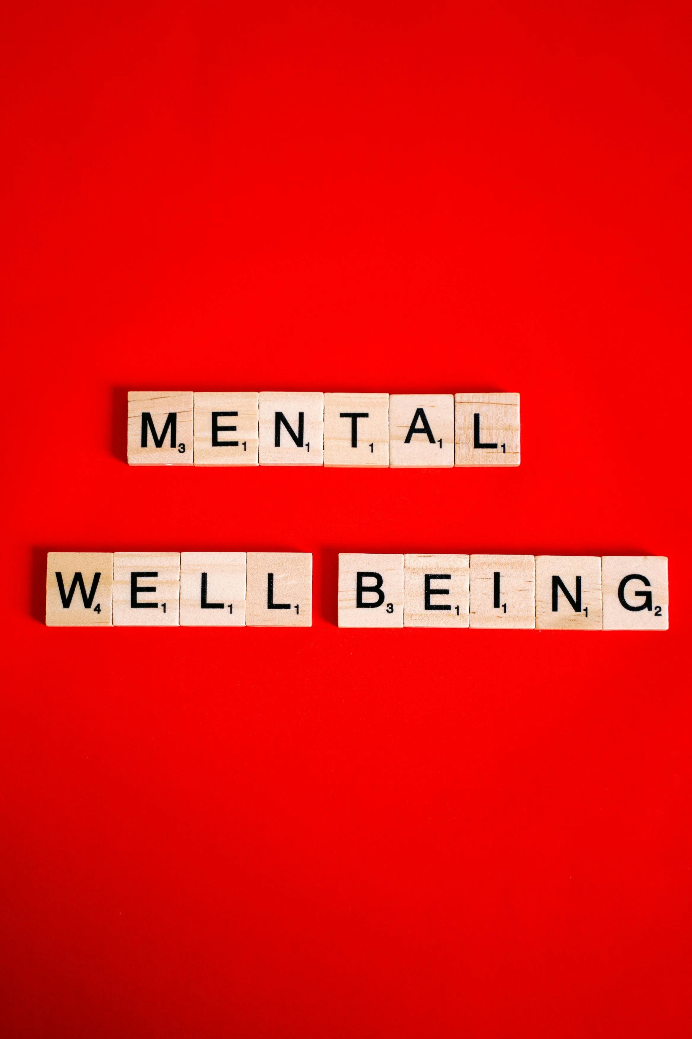 Well-being in the Law