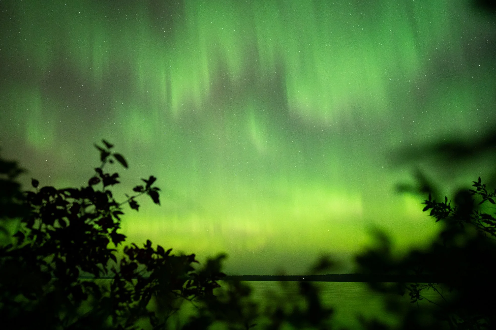 Ryan Lucenkiw_Prairie Abstract-8155.jpg