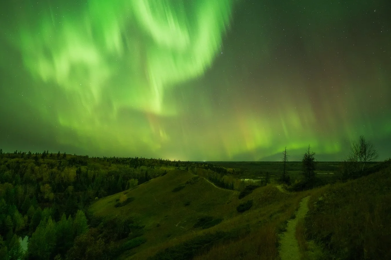 Spruce Woods Provincial Park