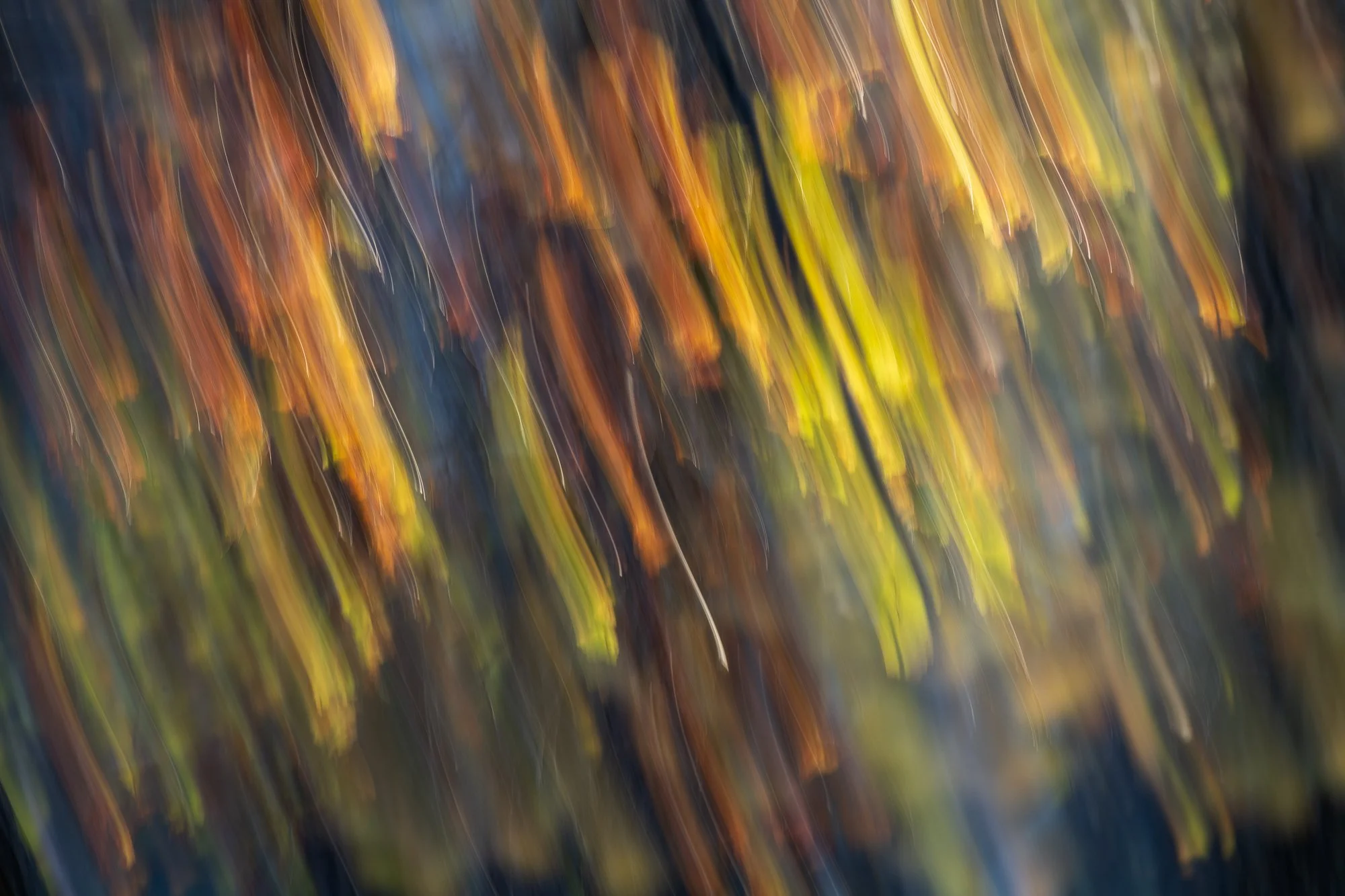 Ryan Lucenkiw_Prairie Abstract-0655.jpg