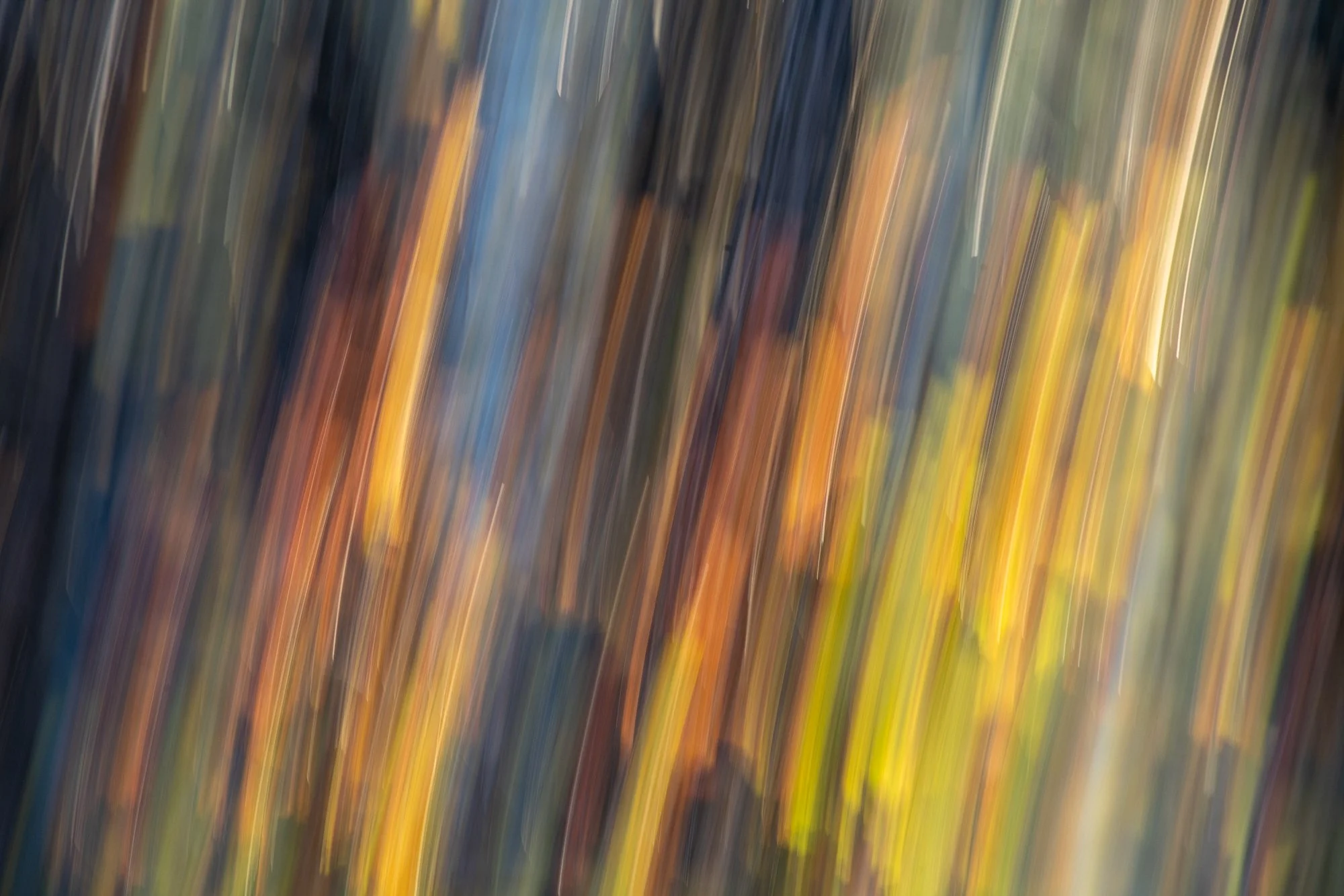 Ryan Lucenkiw_Prairie Abstract-0662.jpg