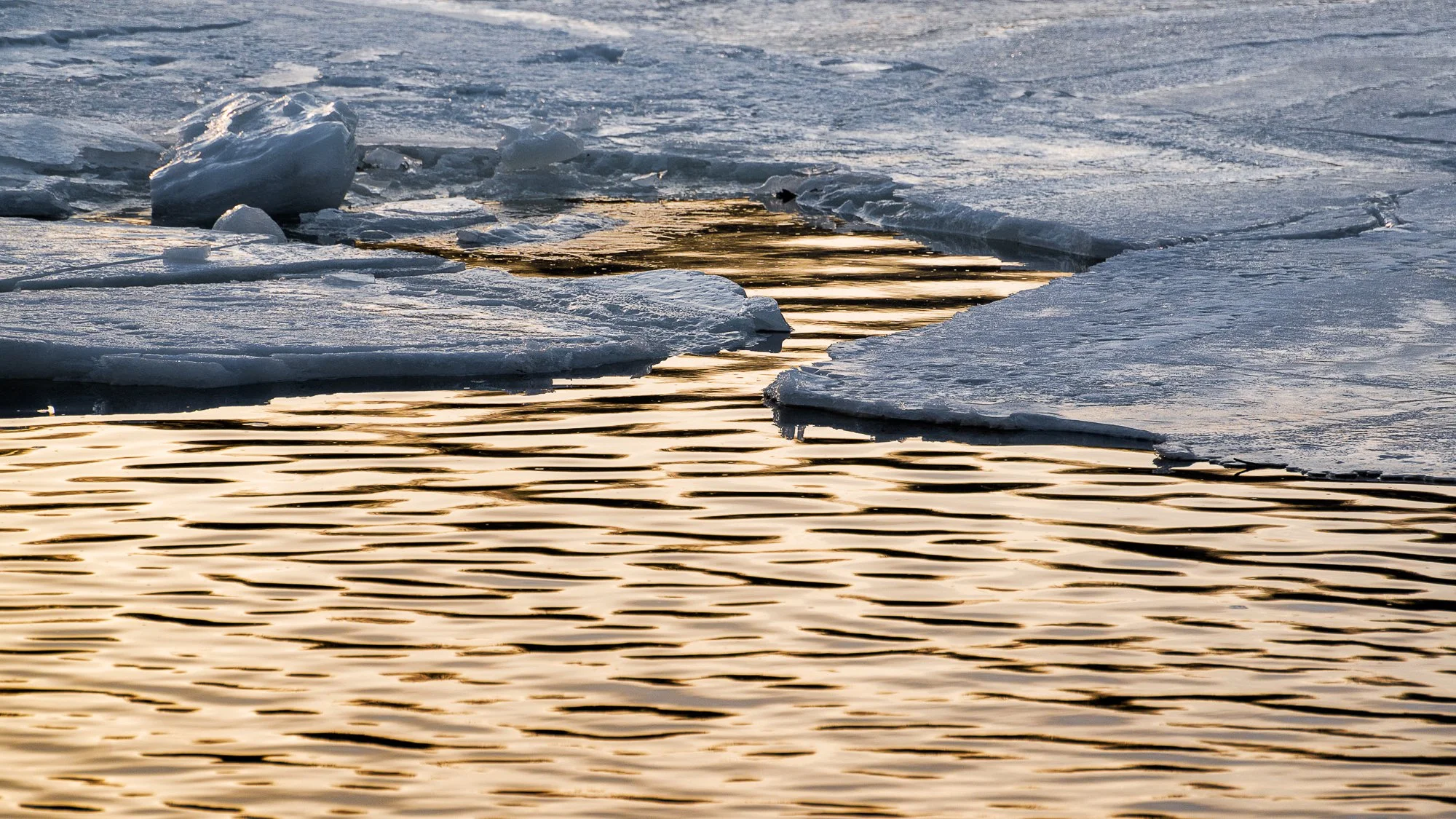 Ryan Lucenkiw_Prairie Abstract-1-3.jpg