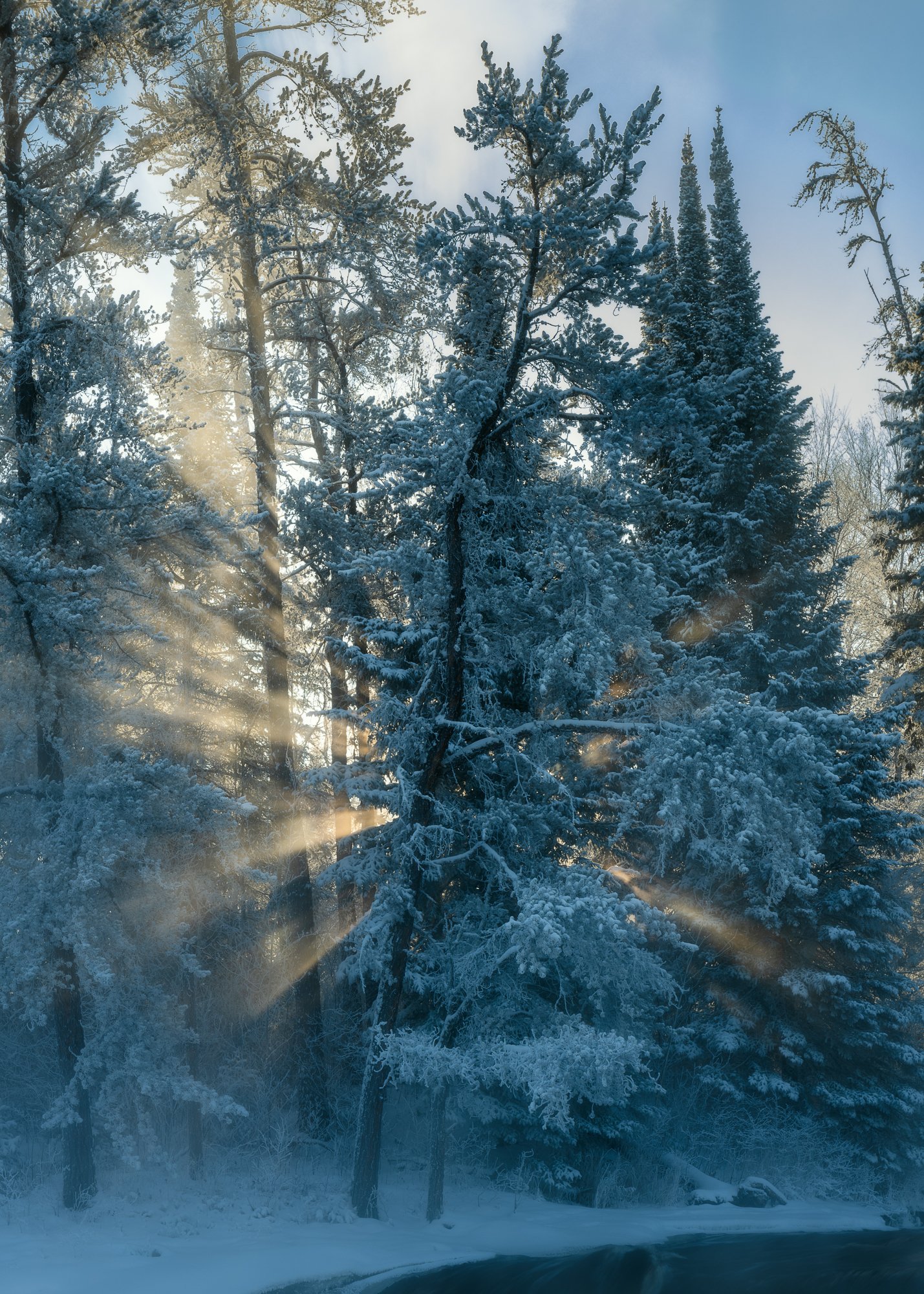 Ryan Lucenkiw_Pine Point Rapids-24.jpg