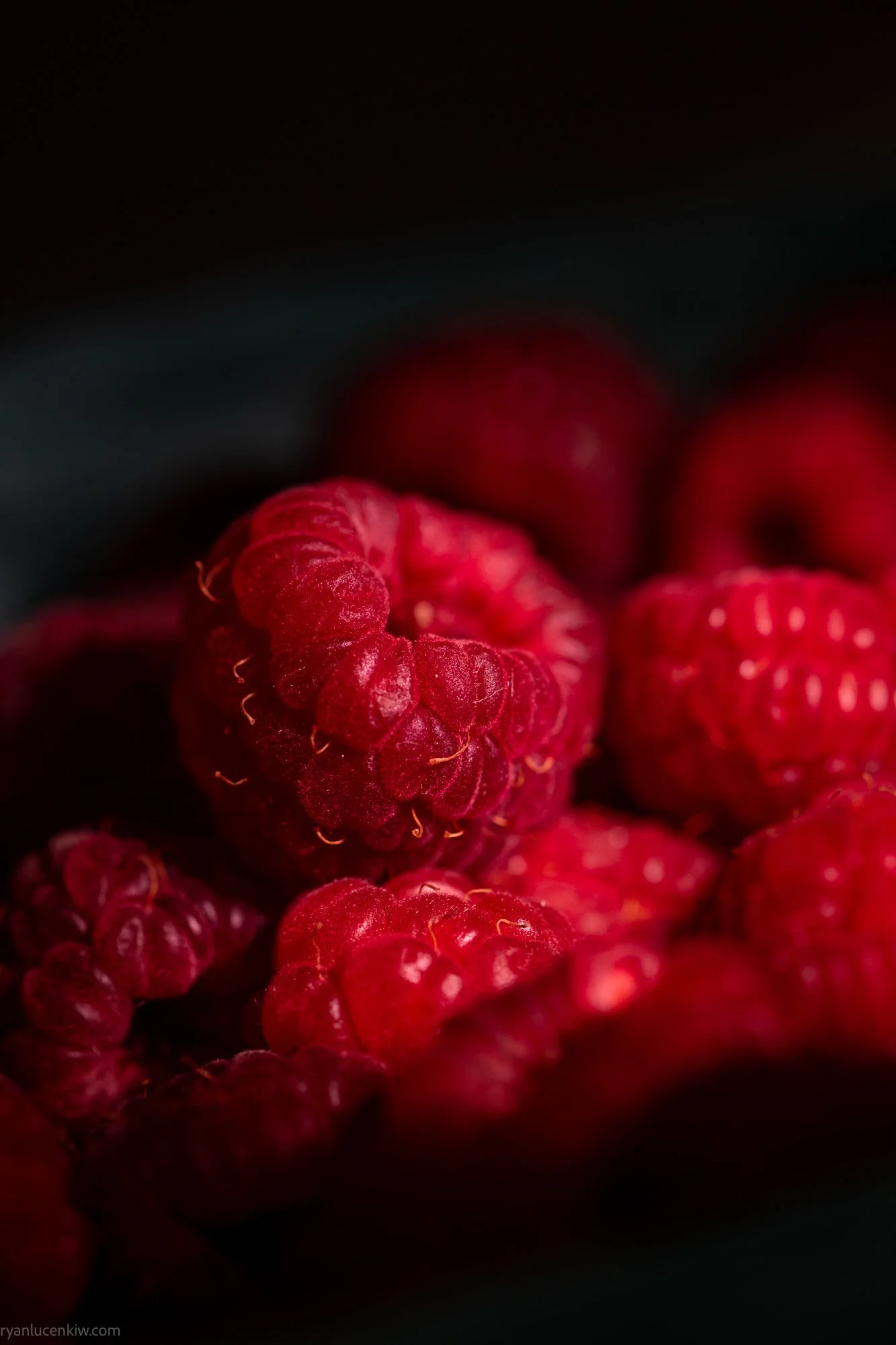raspberries-1097.jpg