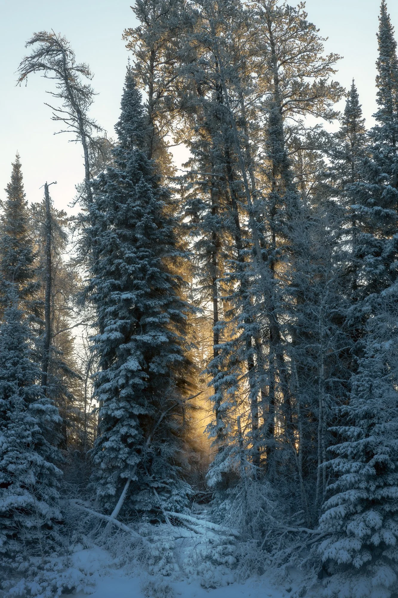 Ryan Lucenkiw_Pine Point Rapids-21.jpg