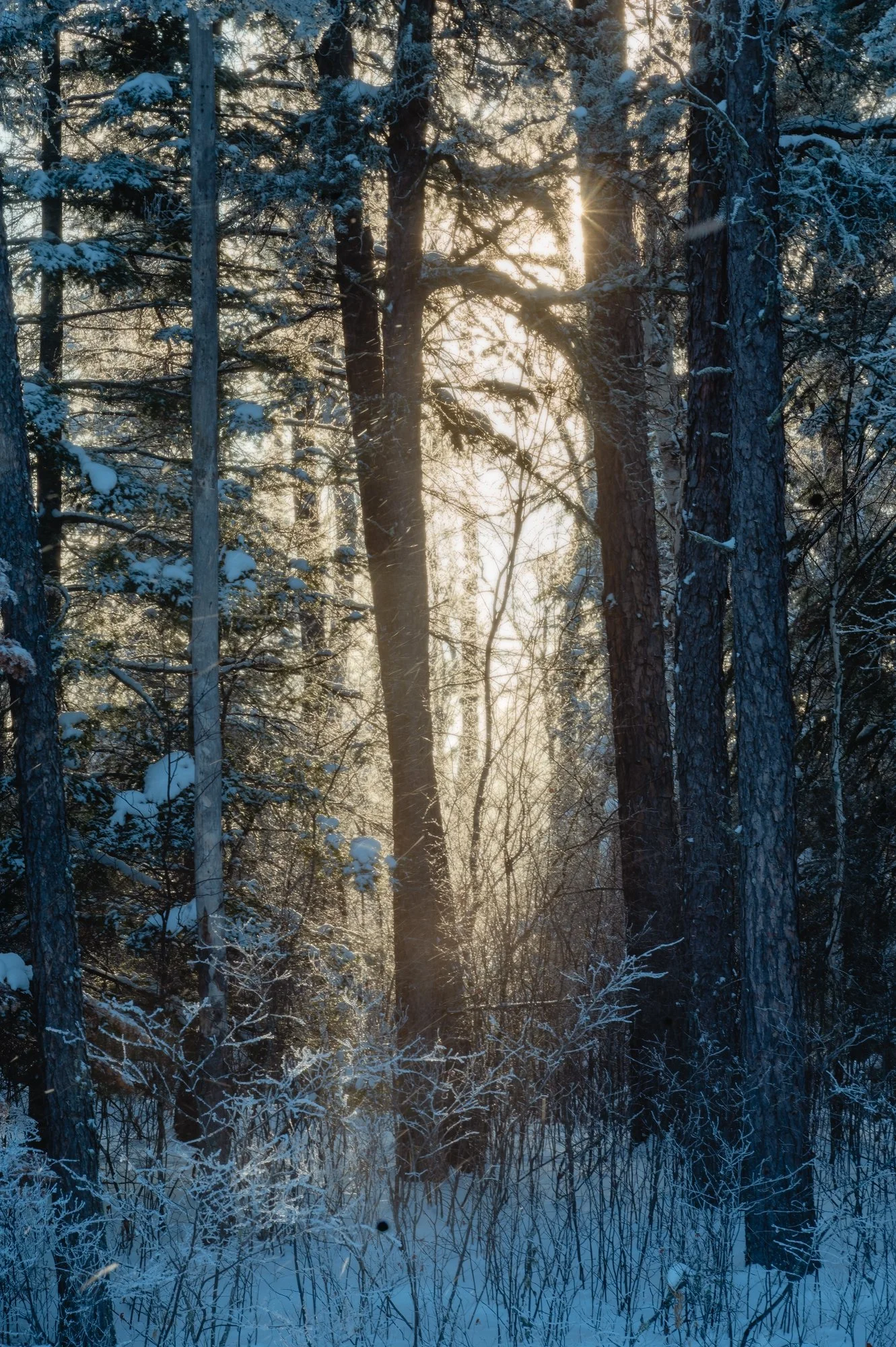 Ryan Lucenkiw_Pine Point Rapids-11.jpg