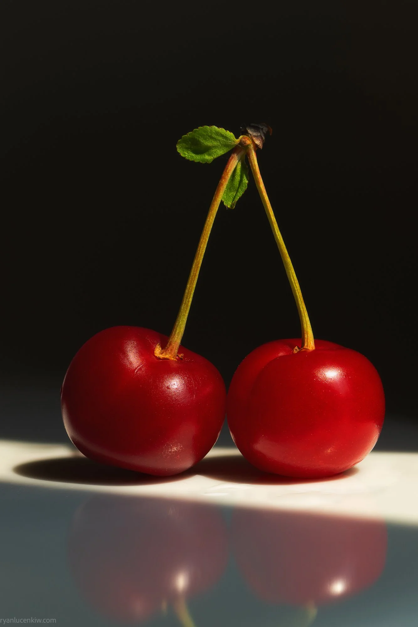 Ryan Lucenkiw_sour cherry-9358.jpg