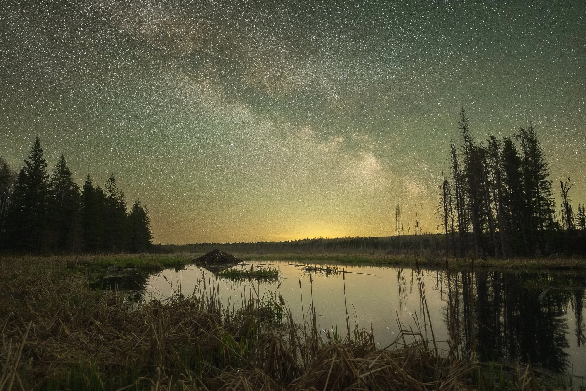 Ryan Lucenkiw_milky way beaver dam RMNP-3159.jpg