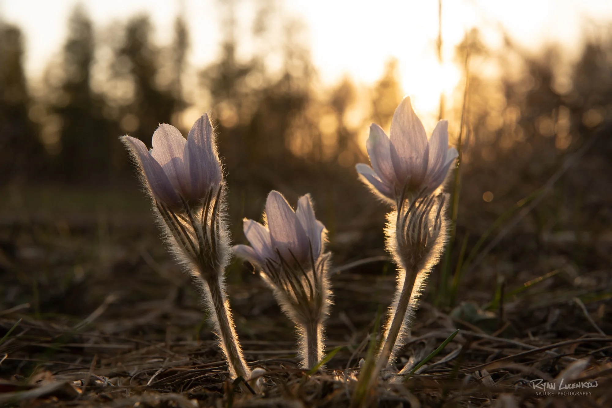 Shot at f/10.
