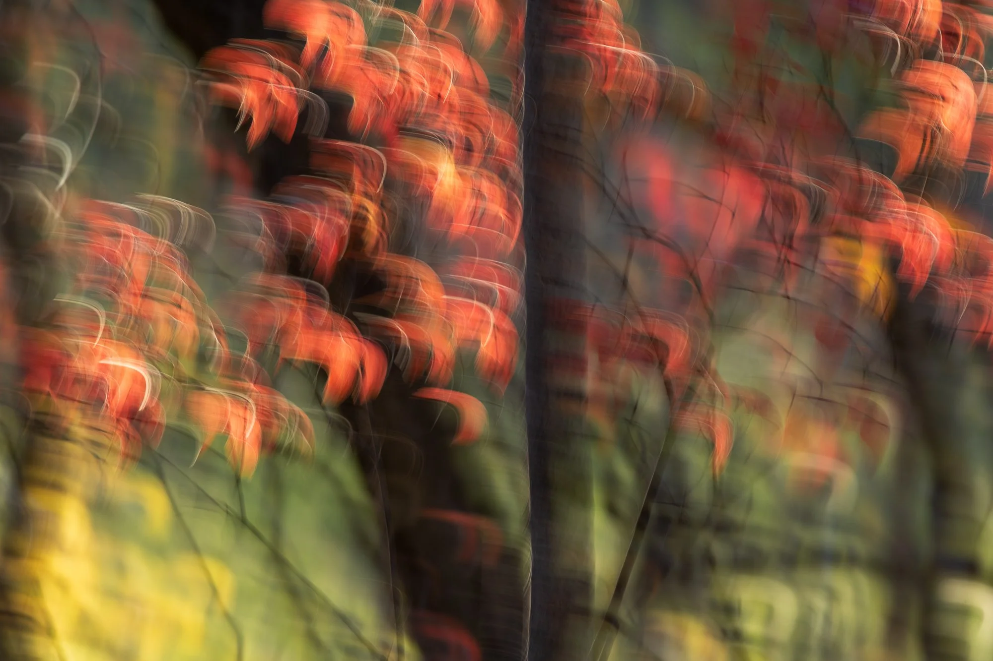 Ryan Lucenkiw_Prairie Abstract-0405.jpg