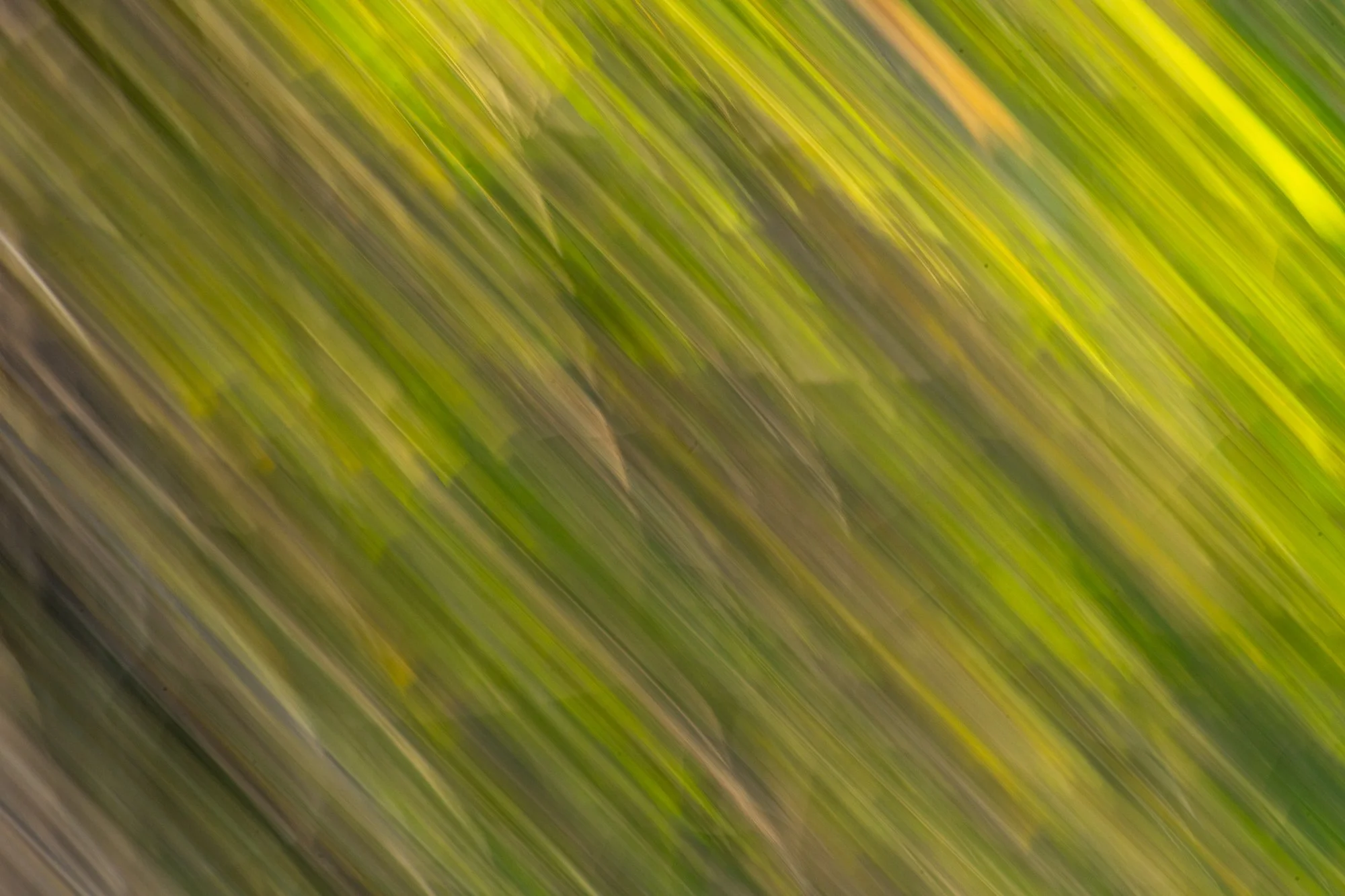 Ryan Lucenkiw_Prairie Abstract-0527.jpg