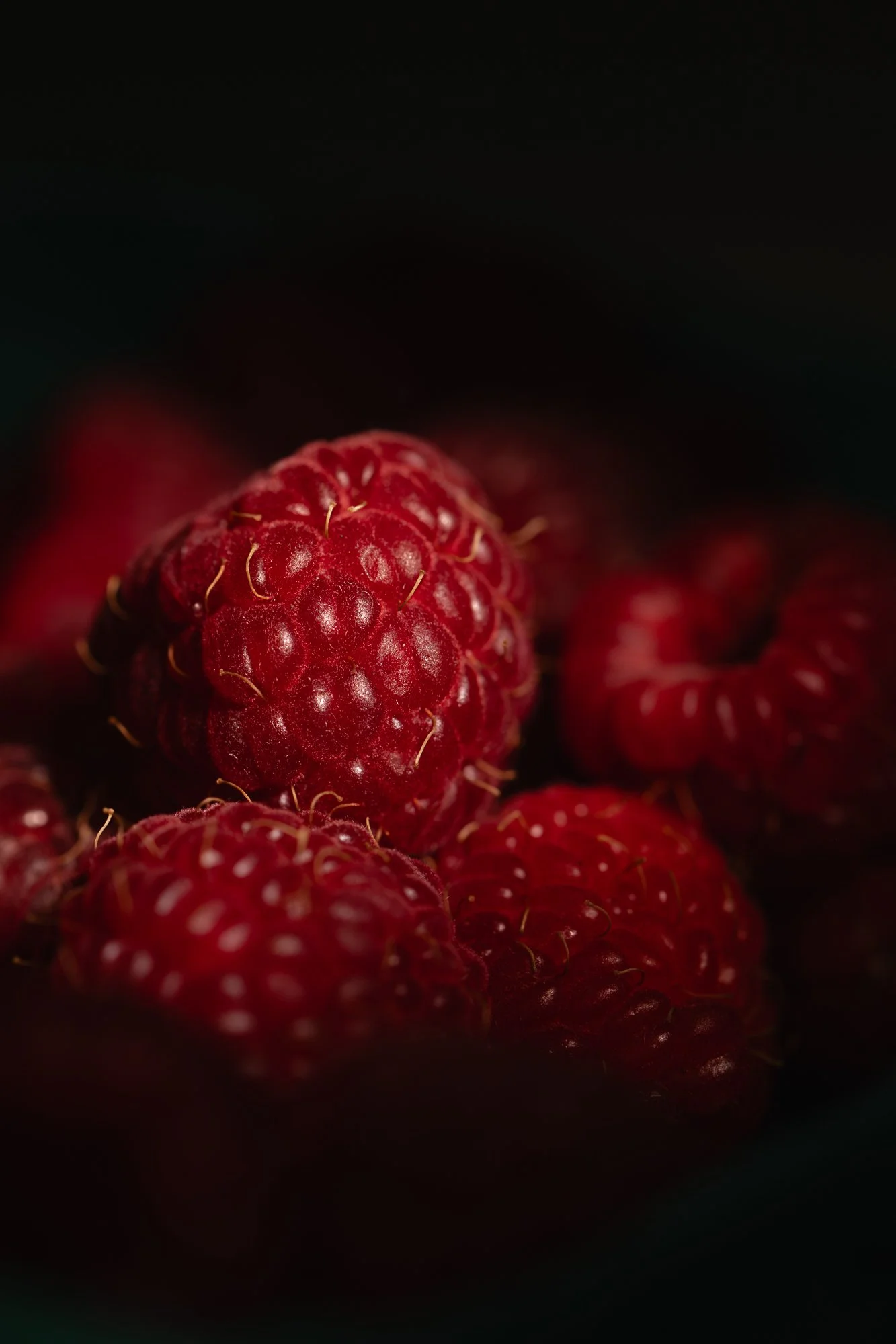 Ryan Lucenkiw_raspberry-1094.jpg