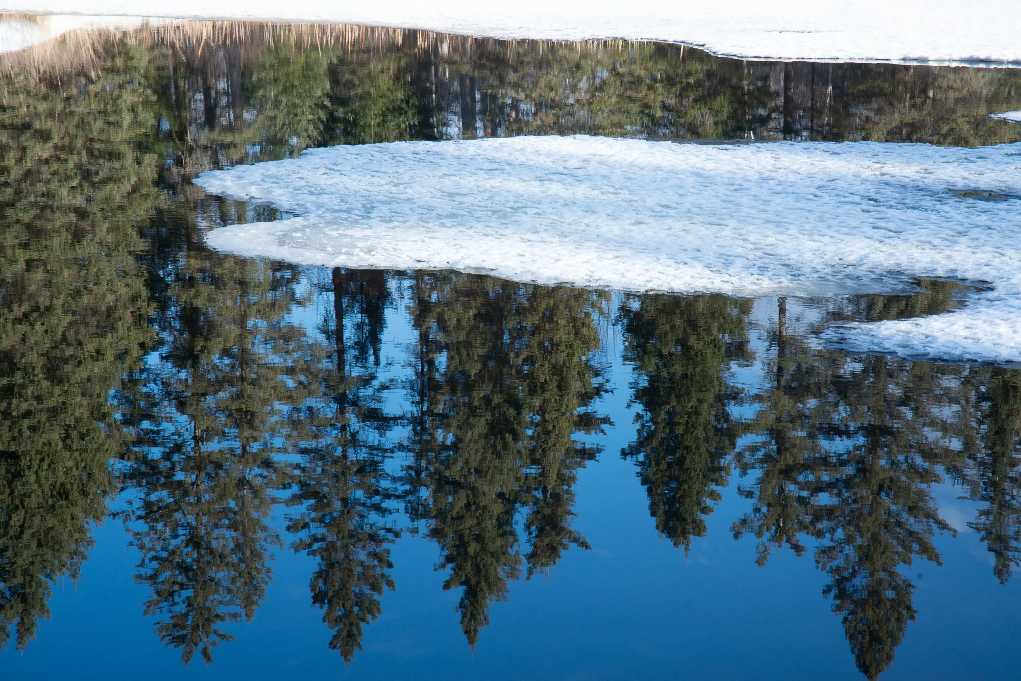 Ryan Lucenkiw_Prairie Abstract-6832.jpg