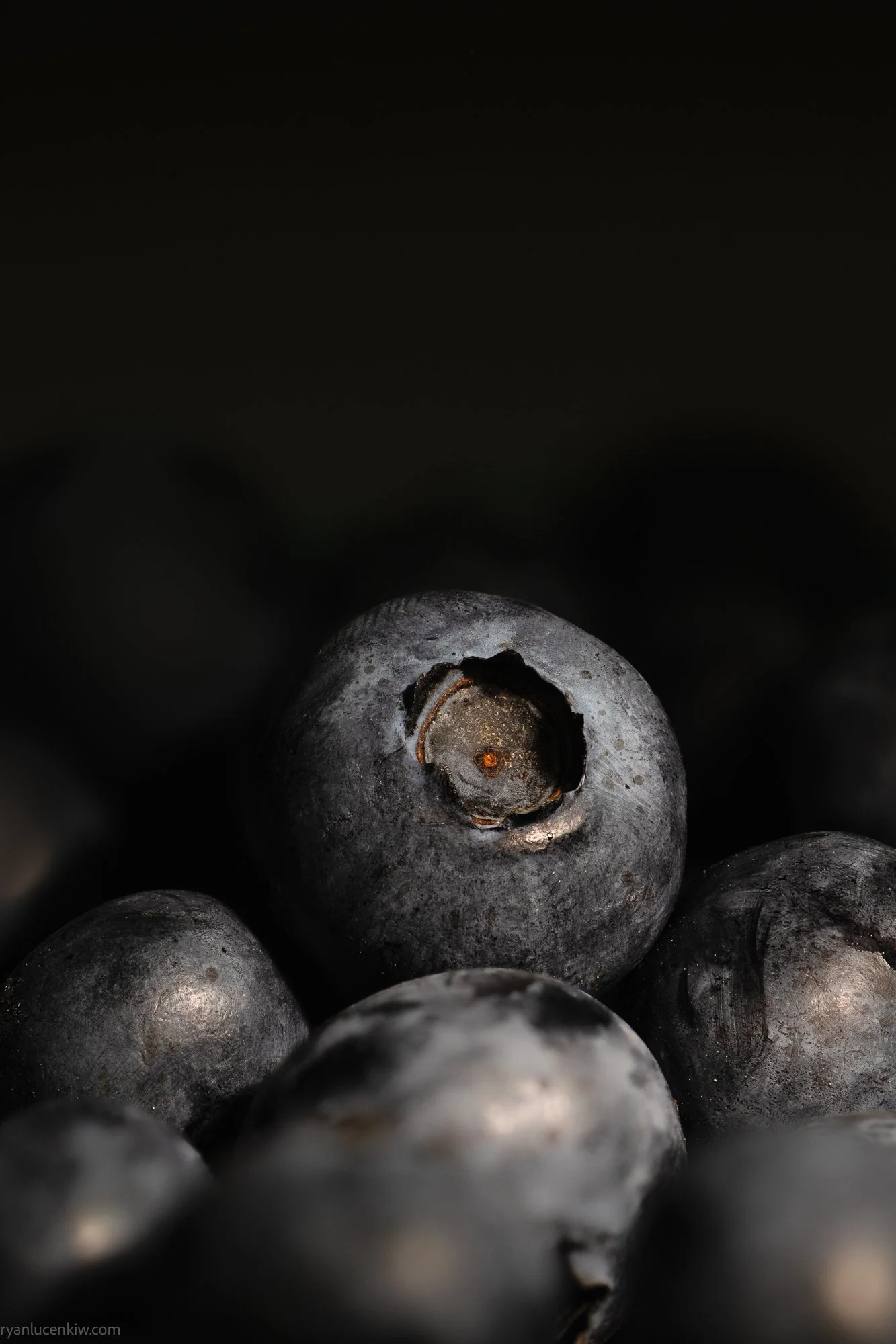 Ryan Lucenkiw_blueberries-1299.jpg