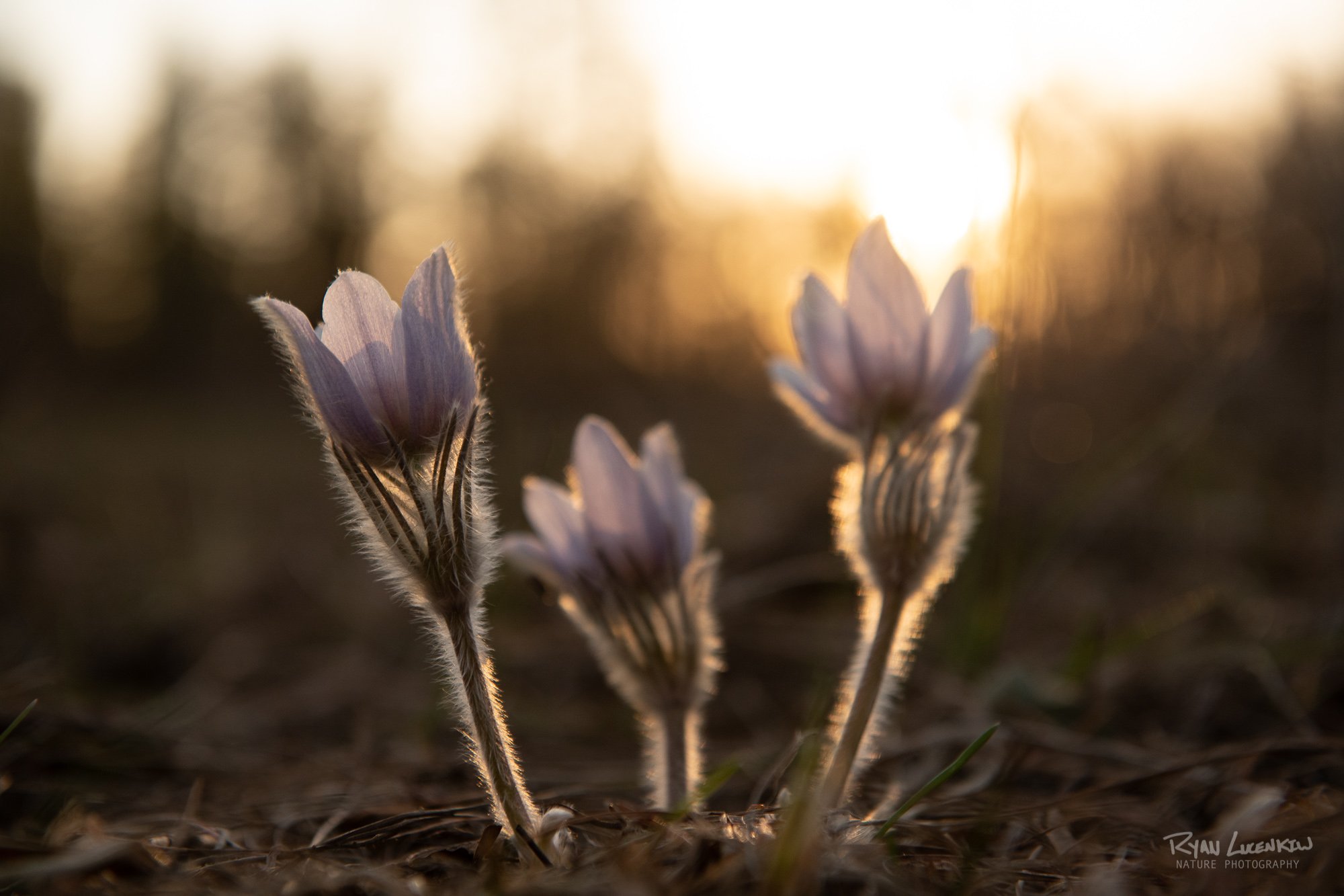 Shot at f/4.